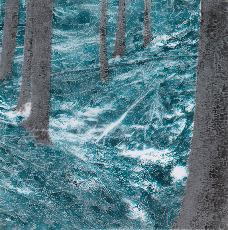 Modrý les / tuš na folii / 2018 / 45x45 cm