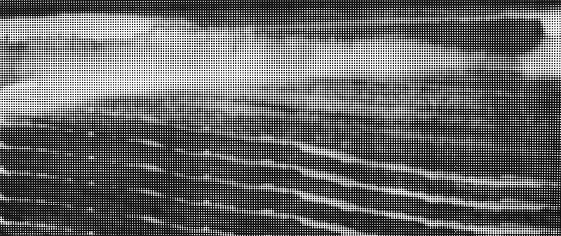 Rašeliniště II. / sítotisk / 2015 / 70x100 cm