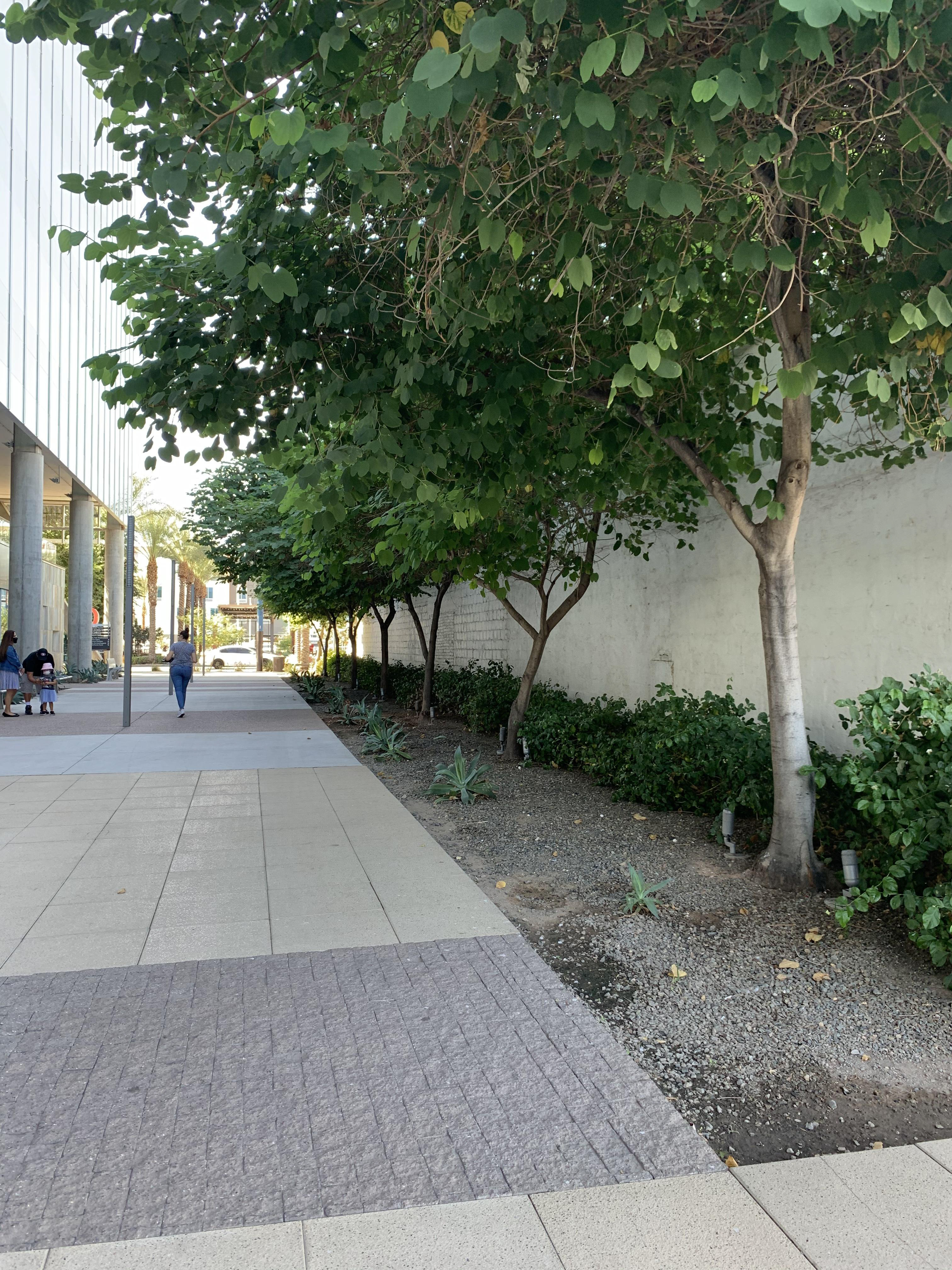 Downtown Chandler City Hall