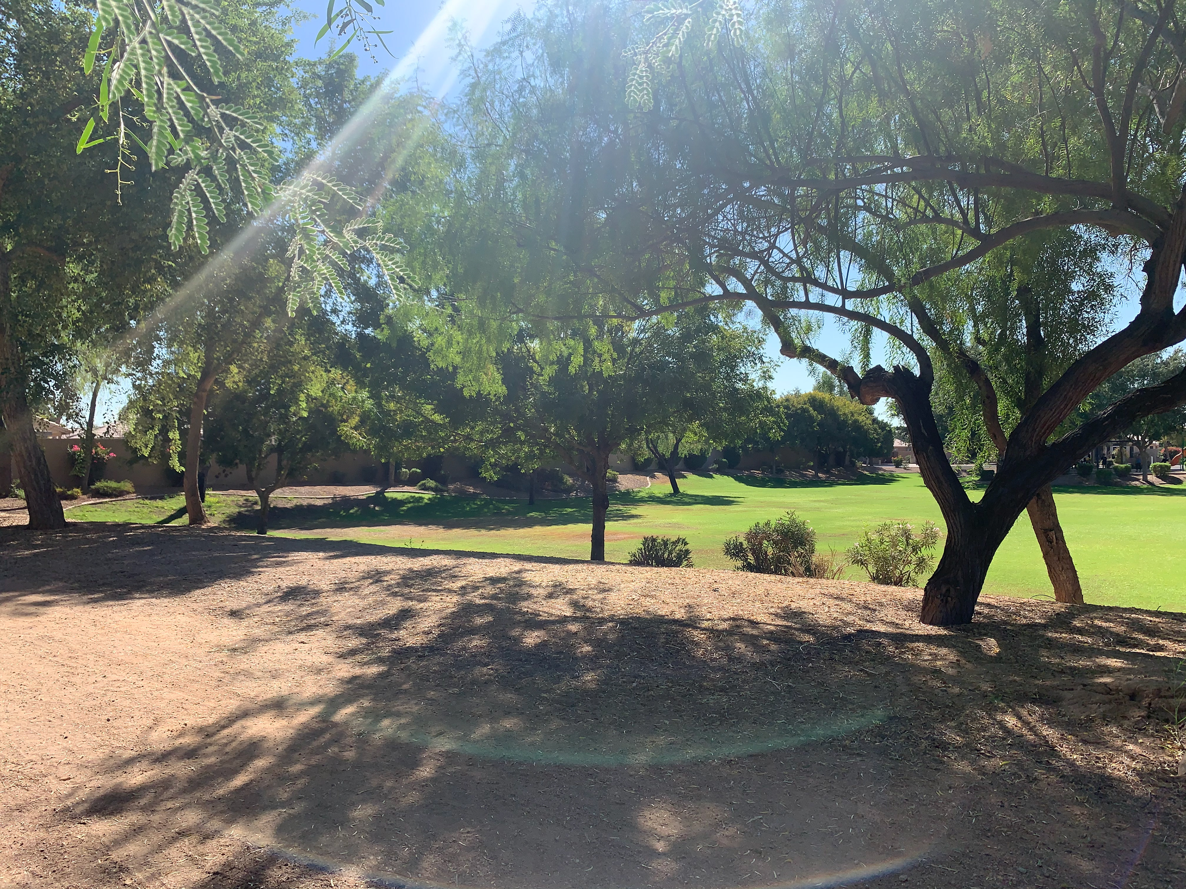 Behind Regal Theater 