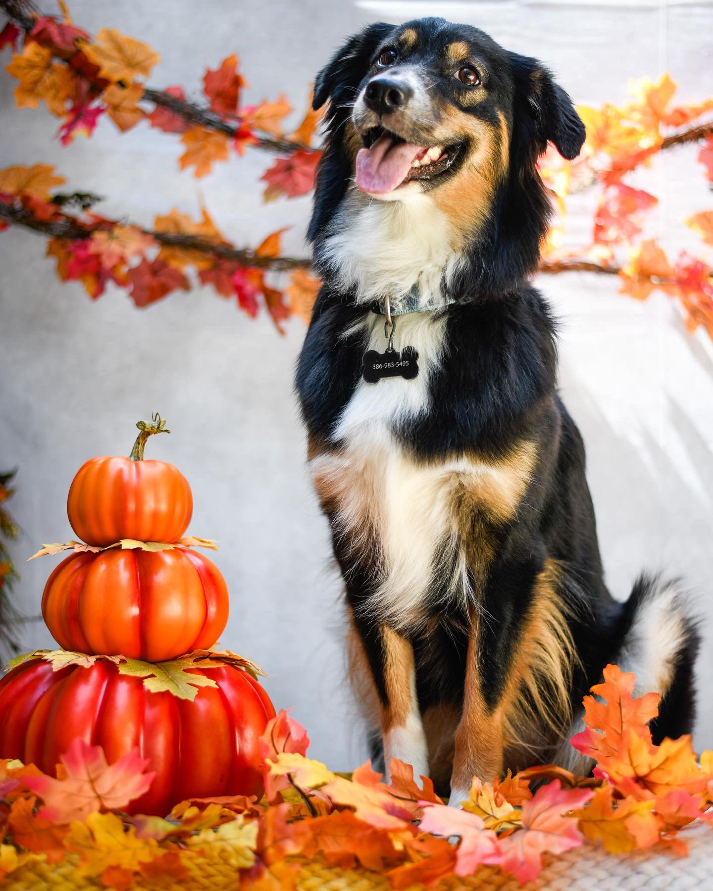Nikon D850, f1.8, 1/800, ISO 160, 50mm