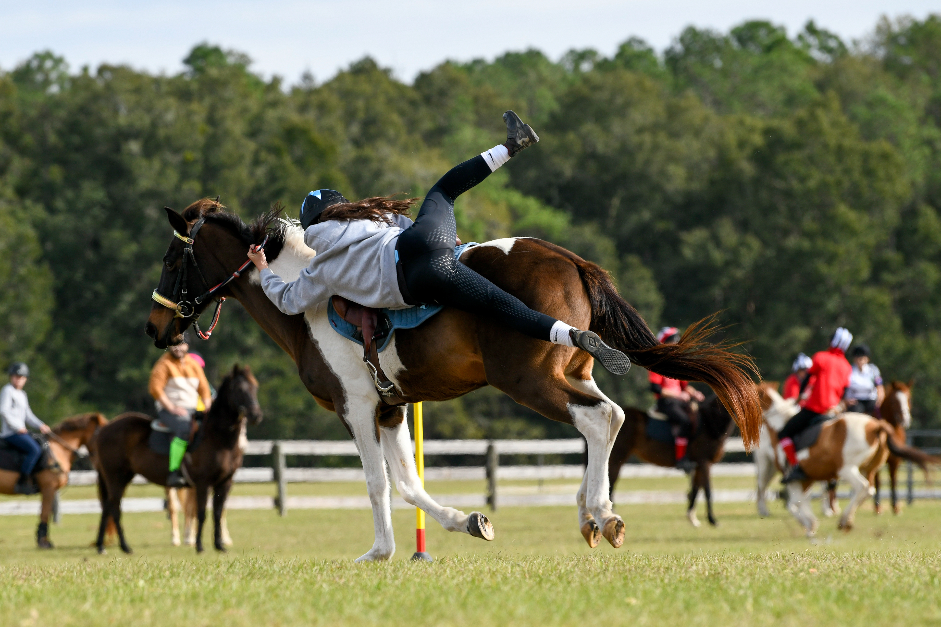 Equestrian Mounted Games is the sport for adreniline junkies. These team based relay races on horseback require the athletes to combine speed, agility and athleticism in order to complete the skills required for each game. Vaulting, like we see here, is one of these skills. It allows riders to not have to waste time with getting on their mount, instead, they are able to jump on while they are running. Nikon D850, f/4.5, 1/2000, ISO 320, 185mm