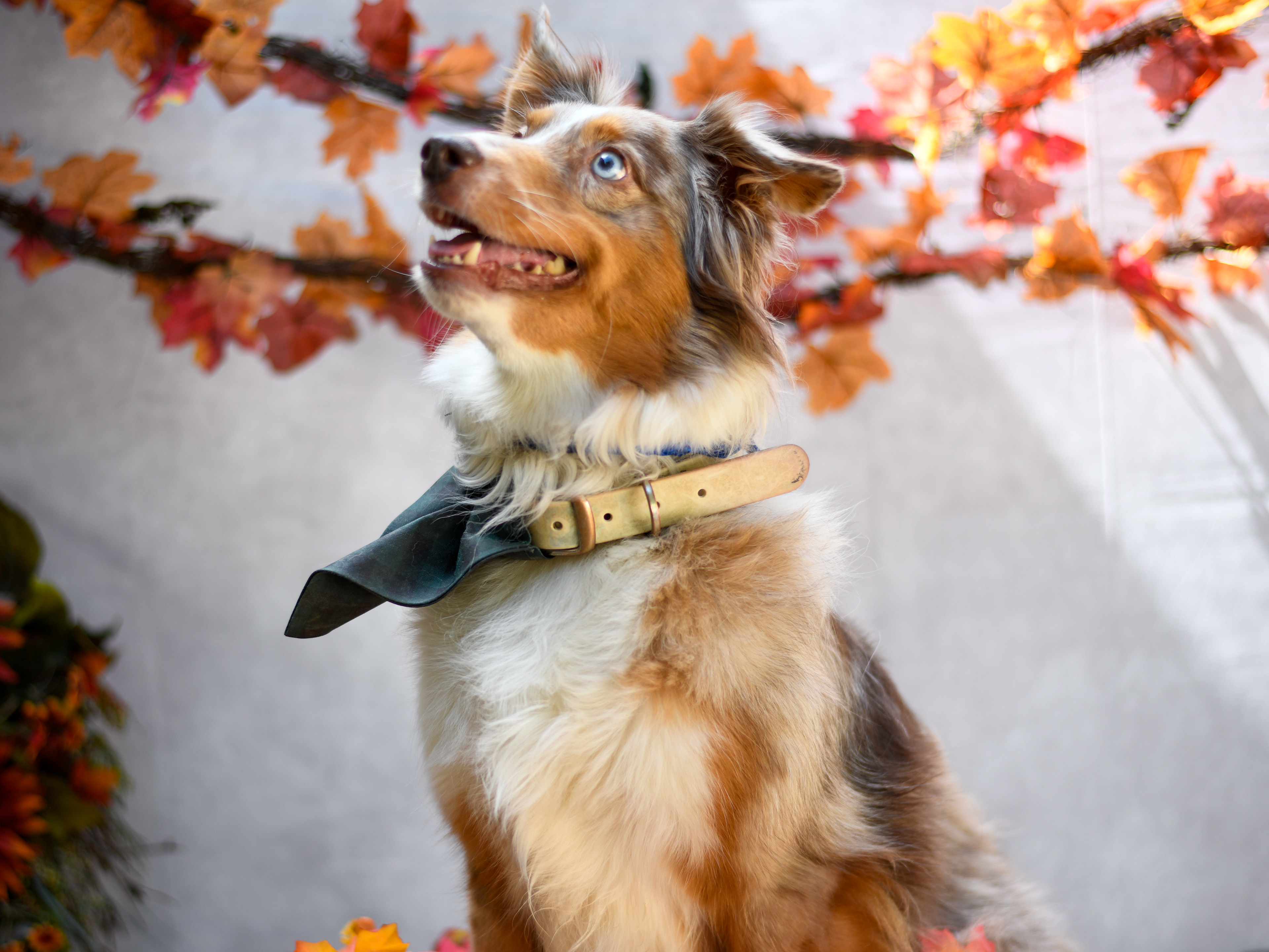 Nikon D850, f1.8, 1/800, ISO 160, 50mm