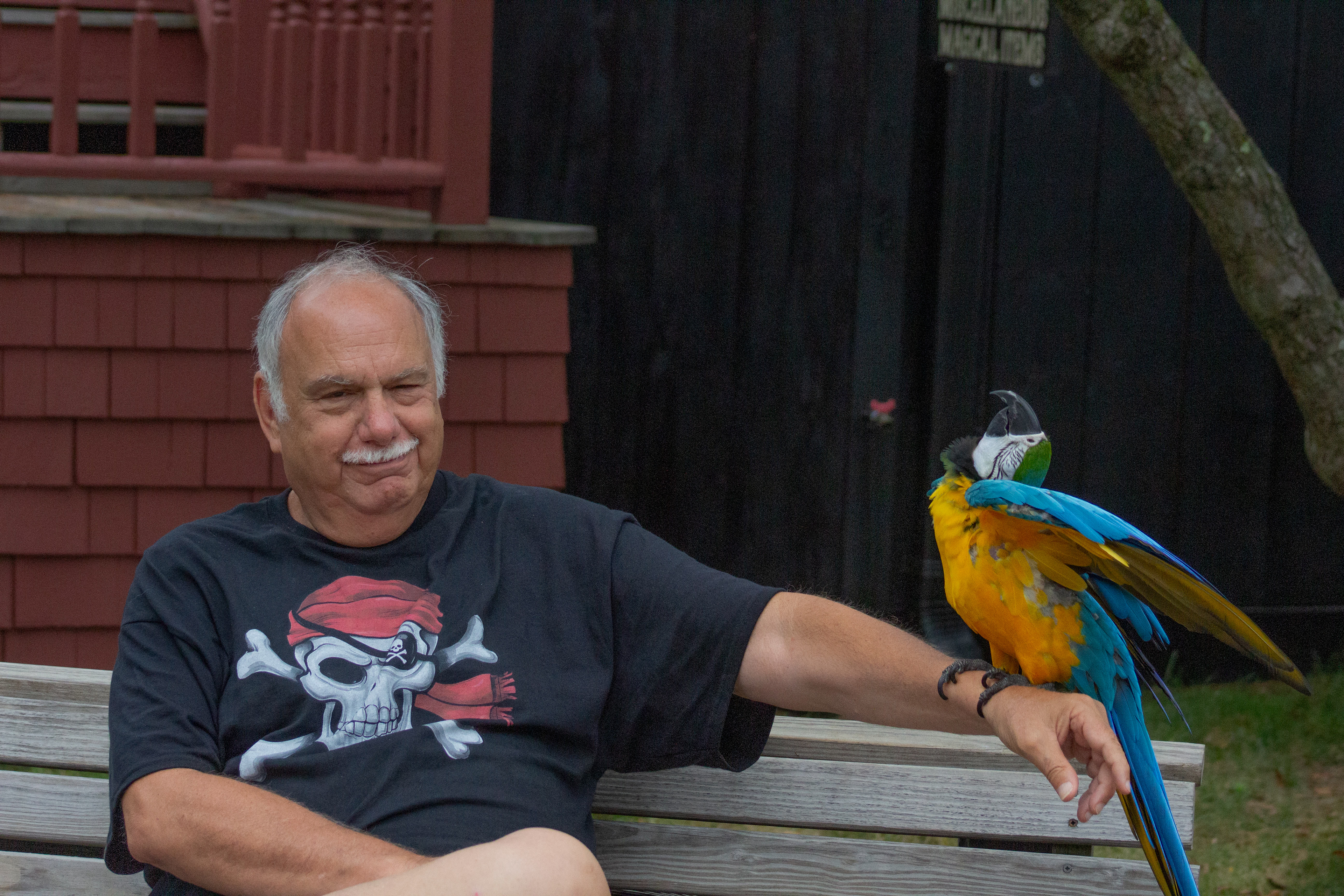 This man's parrot was named Misfit. From Mystic, Connecticut, (07/07/2025)