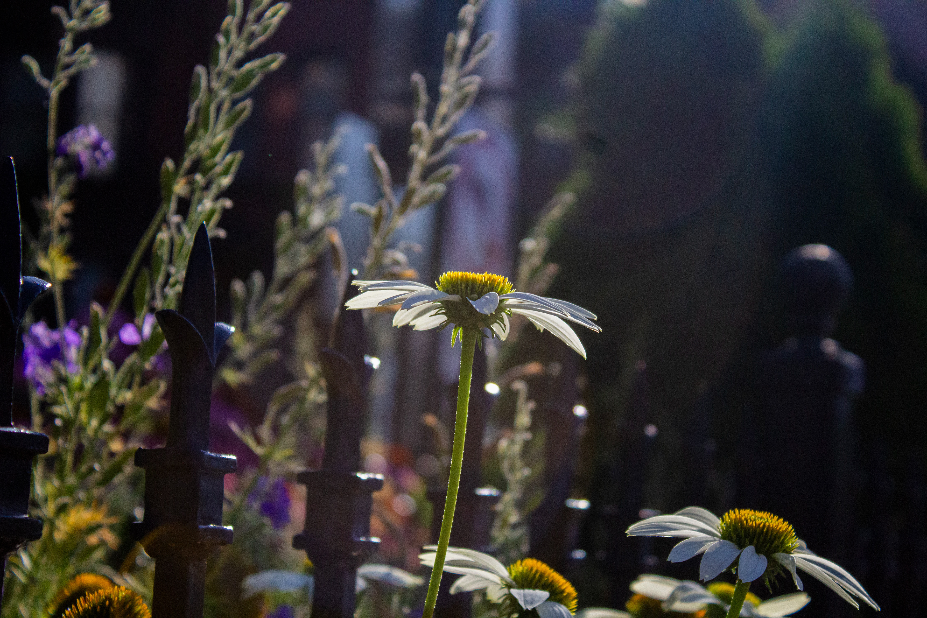 From Washington, D.C. (06/17/2025).