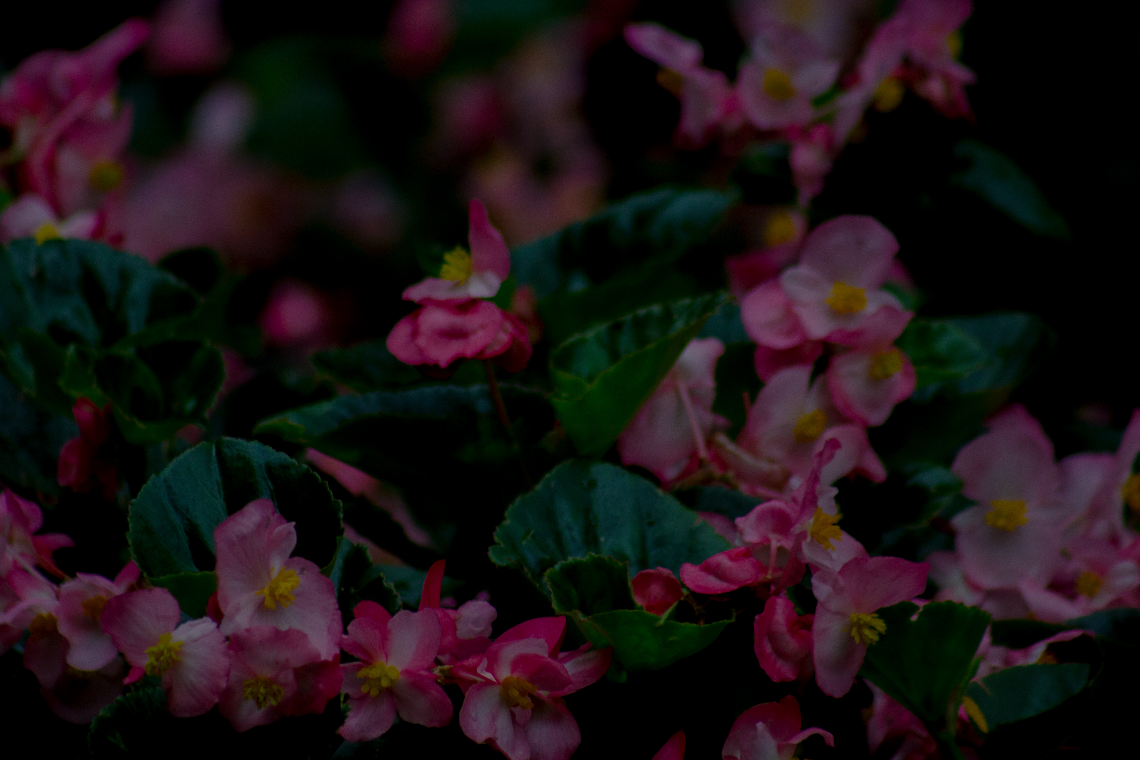 From New York City, New York. (I don't remember this timeframe. Probably from 2024). 