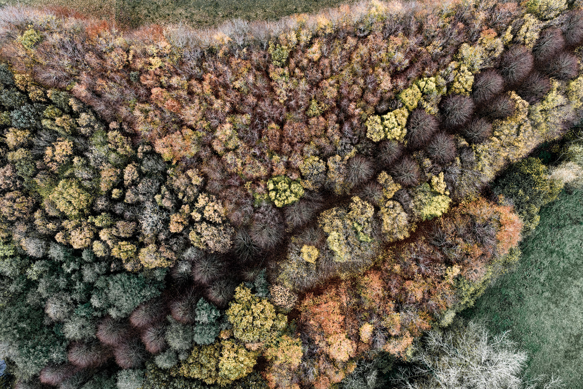 Earth's Calligraphy - 023