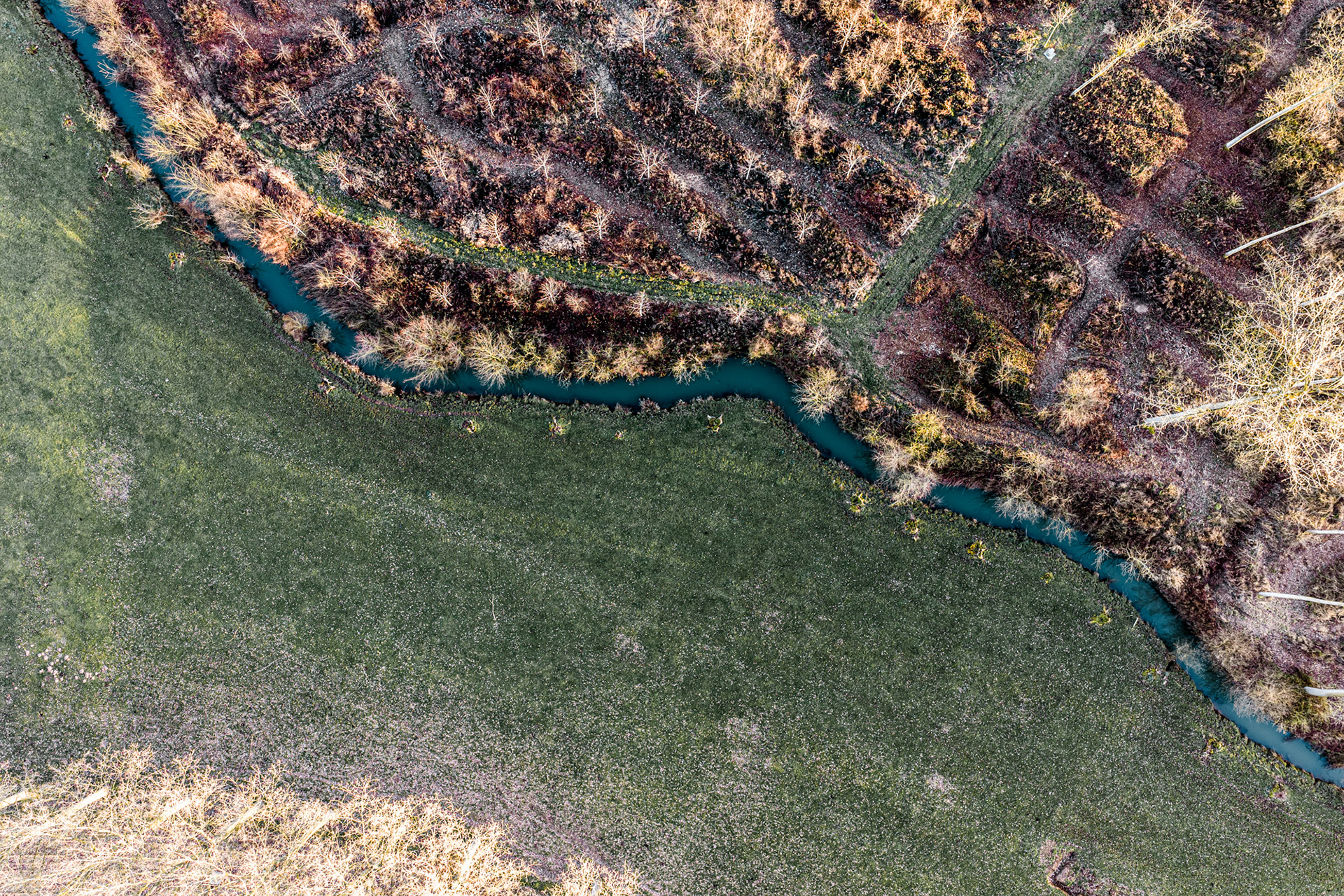 Earth's Calligraphy - 029