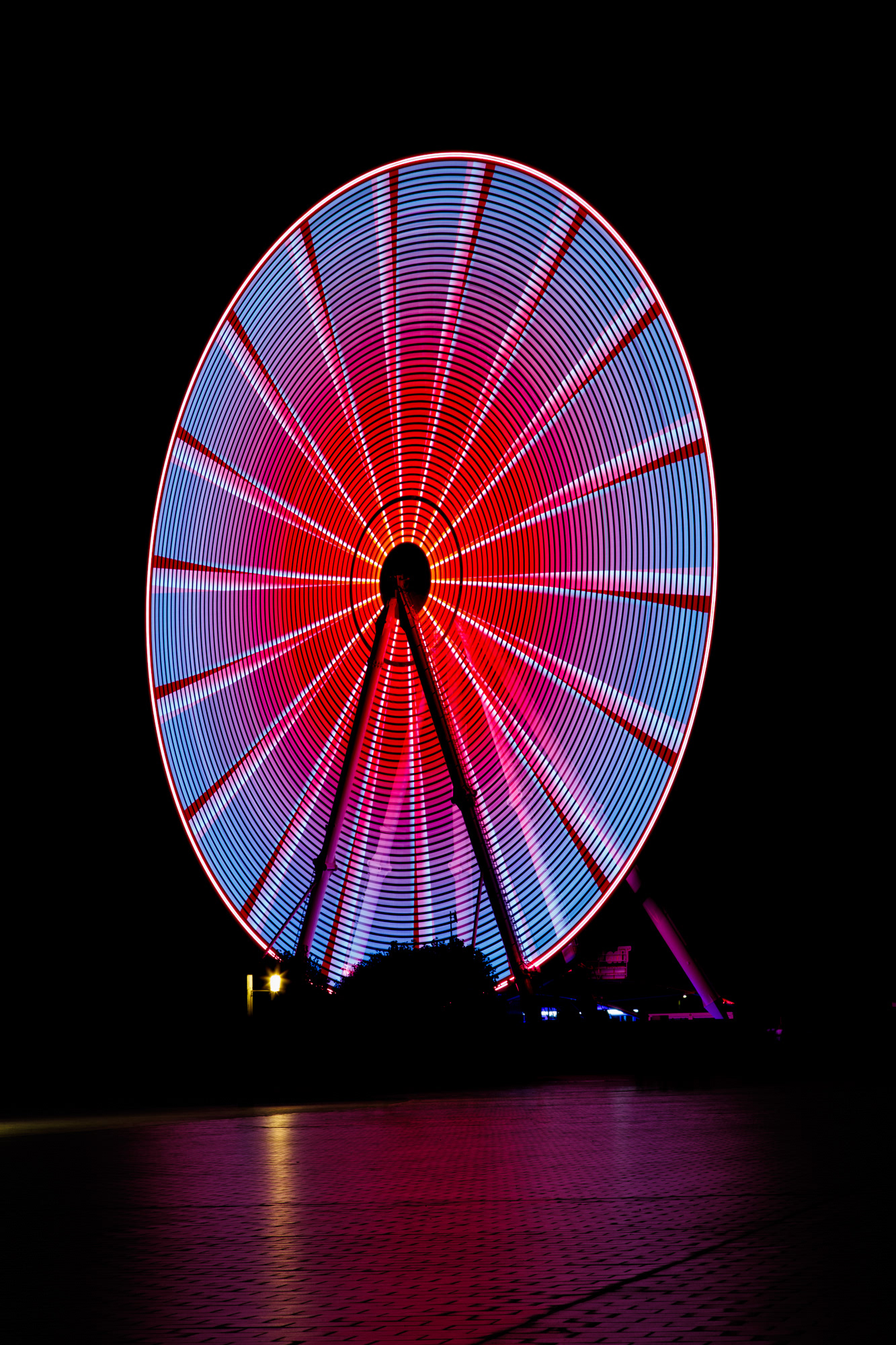 Neon Dreams in Motion - 1