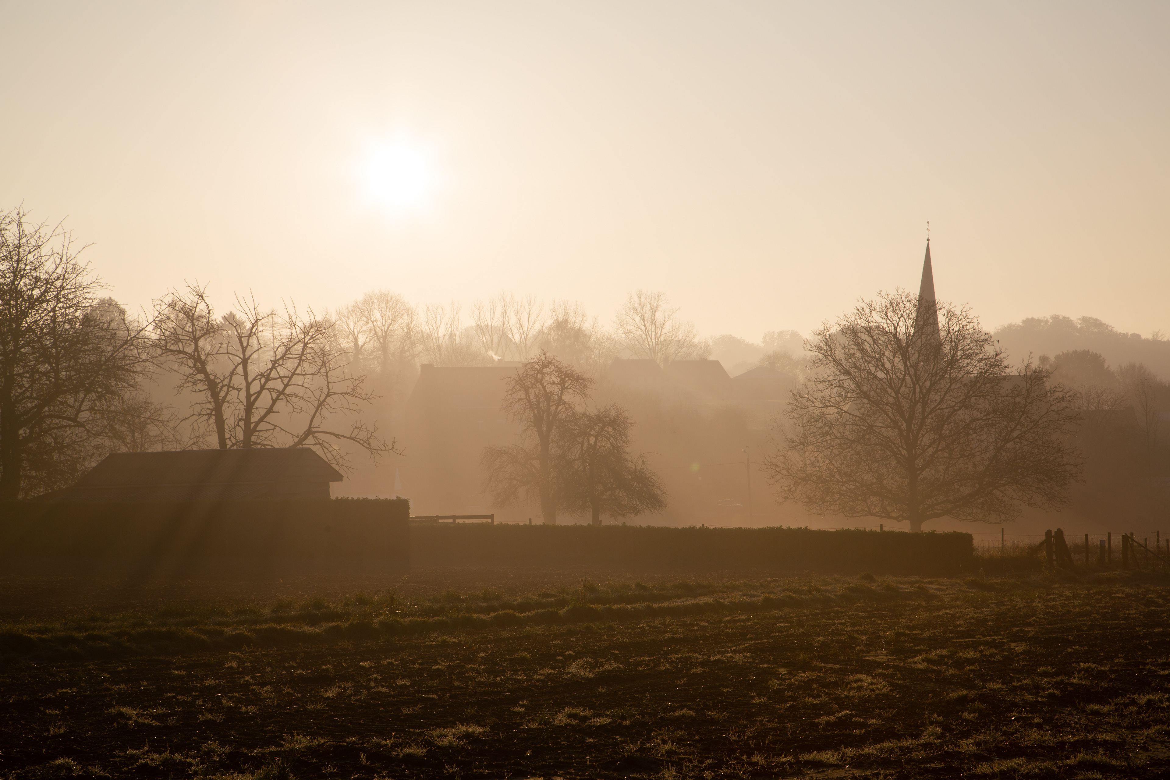 Foggy morning in the countryside