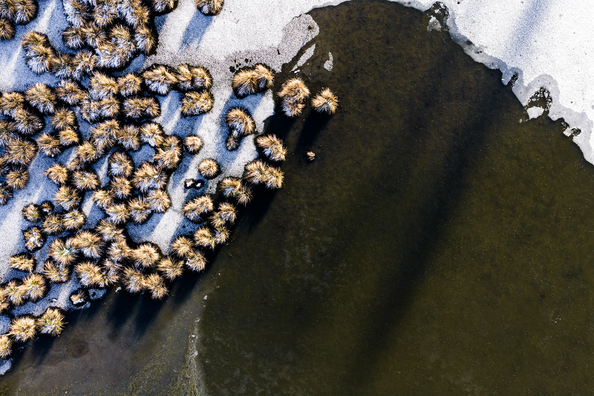 Earth's Calligraphy - 032