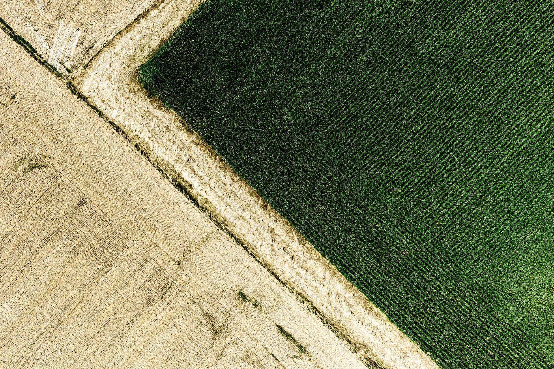 Earth's Calligraphy - 001