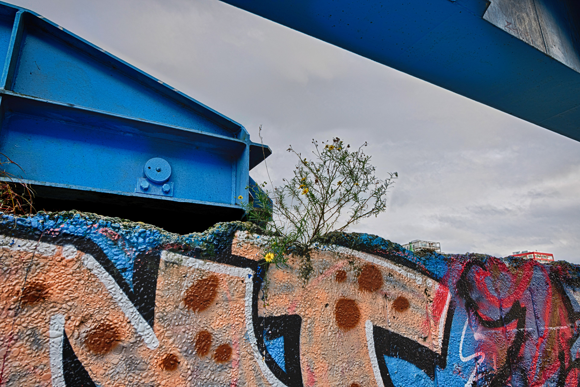 Dockyard Majesty - 9