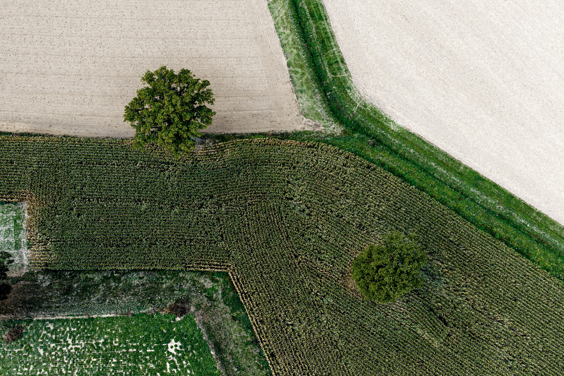 Earth's Calligraphy - 015