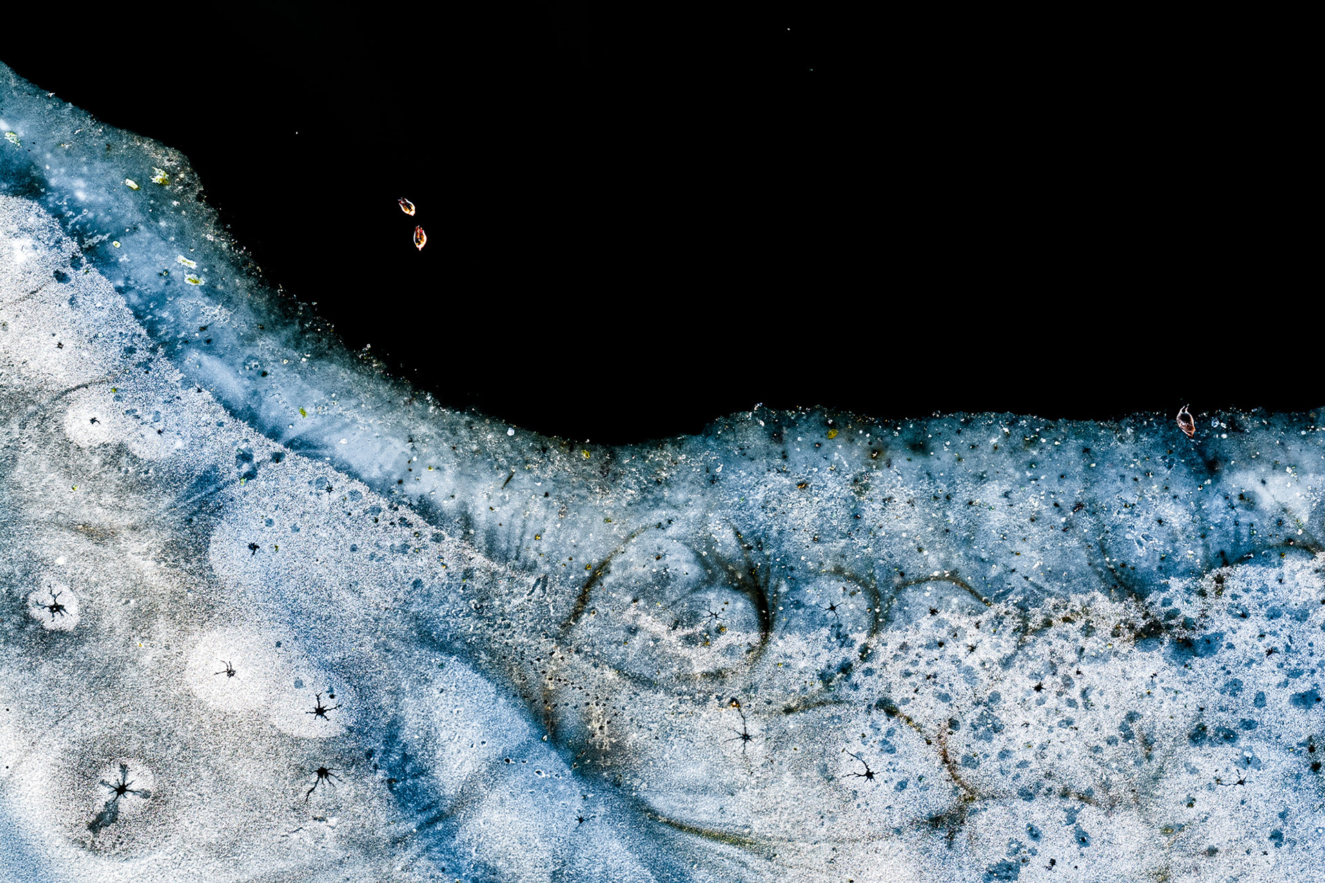 Earth's Calligraphy - 033