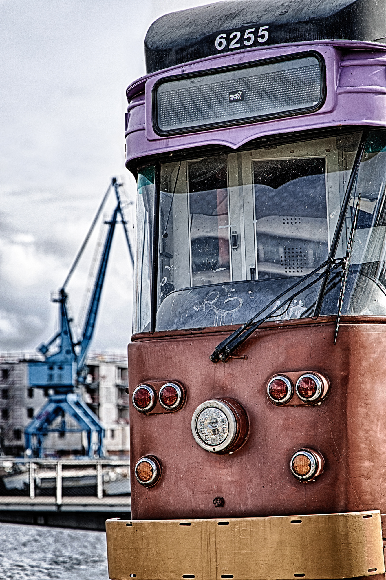 Dockyard Majesty - 12