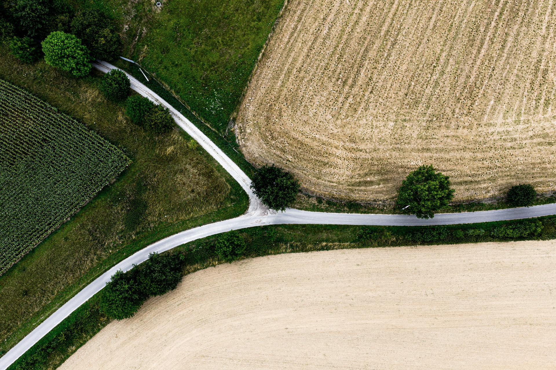 Earth's Calligraphy - 010