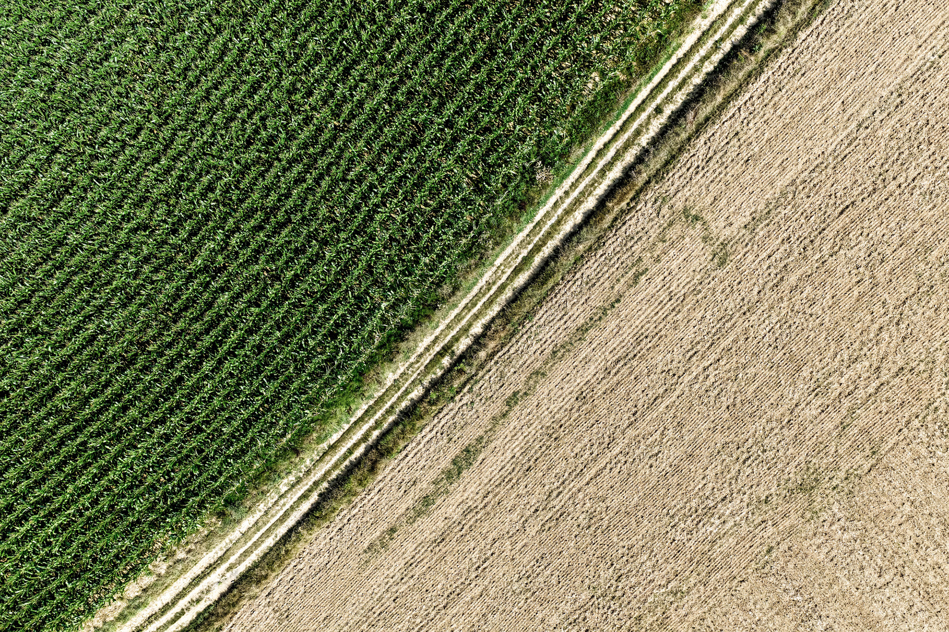 Earth's Calligraphy - 008