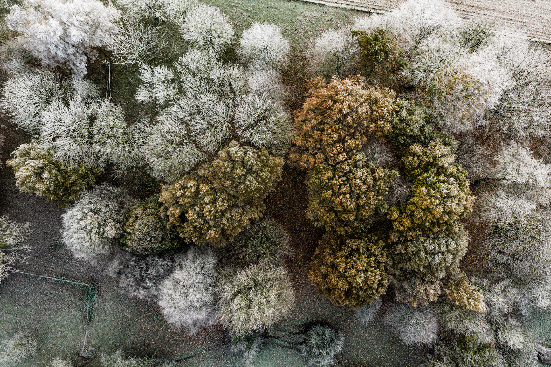 Earth's Calligraphy - 024