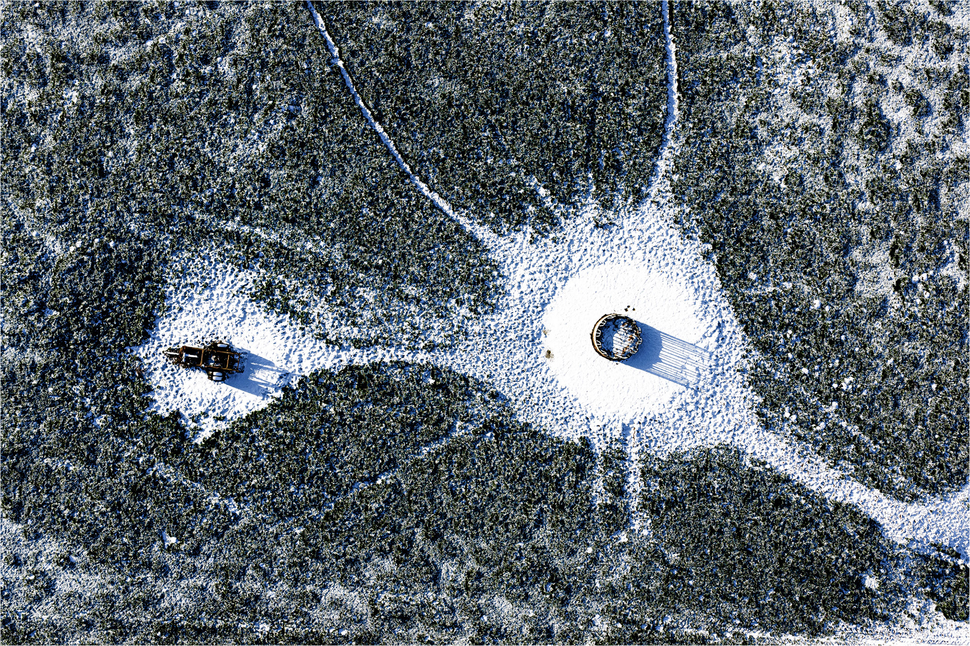 Earth's Calligraphy - 030