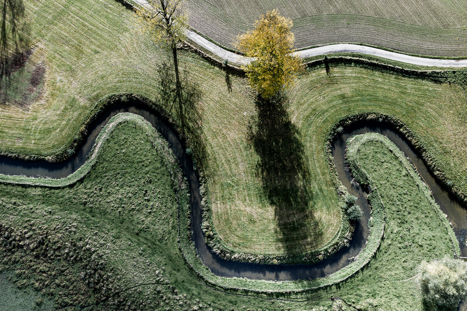 Earth's Calligraphy - 021