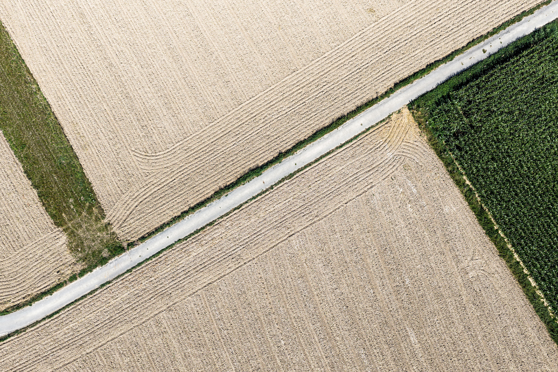 Earth's Calligraphy - 014