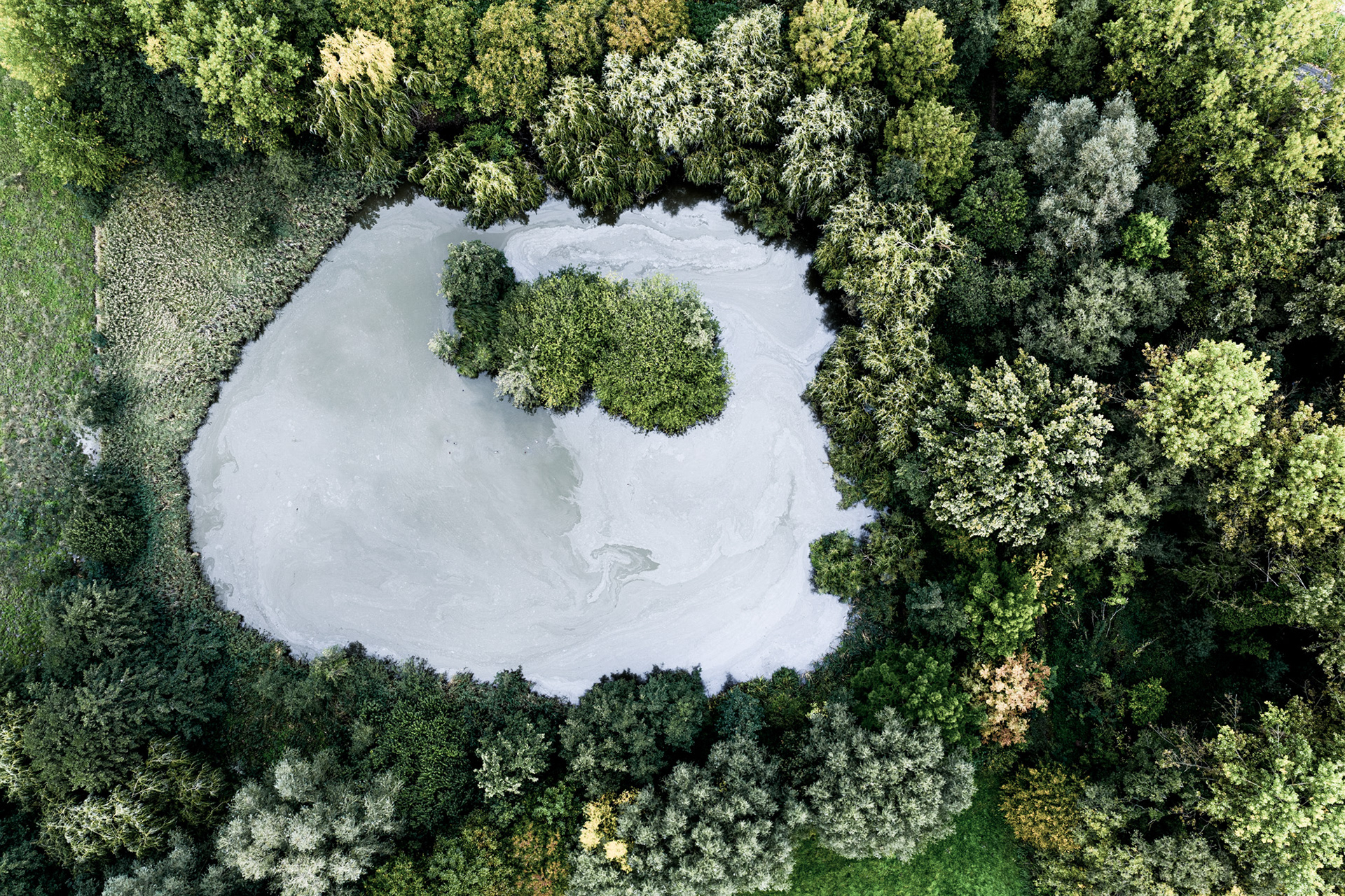 Earth's Calligraphy - 019