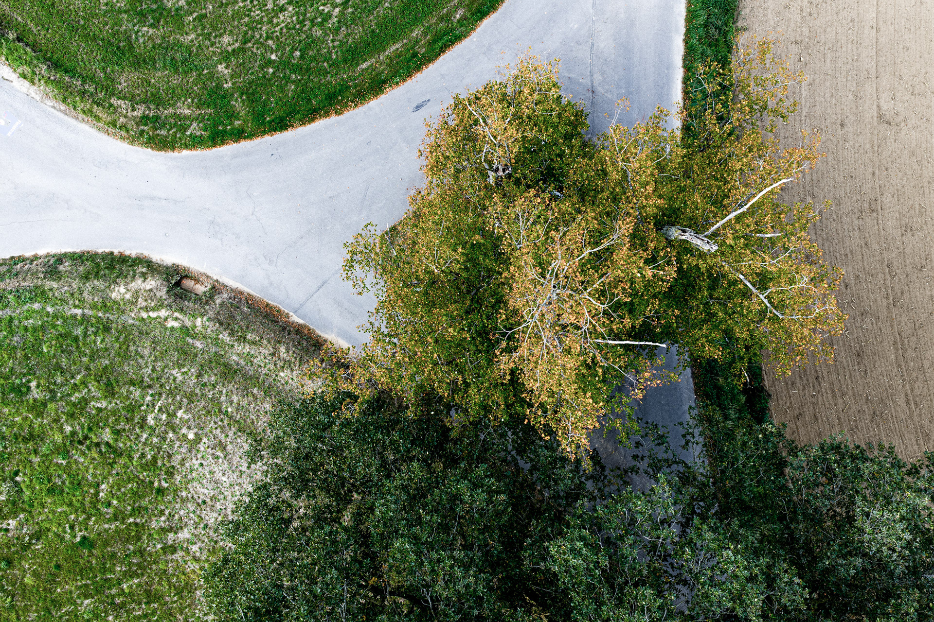 Earth's Calligraphy - 016