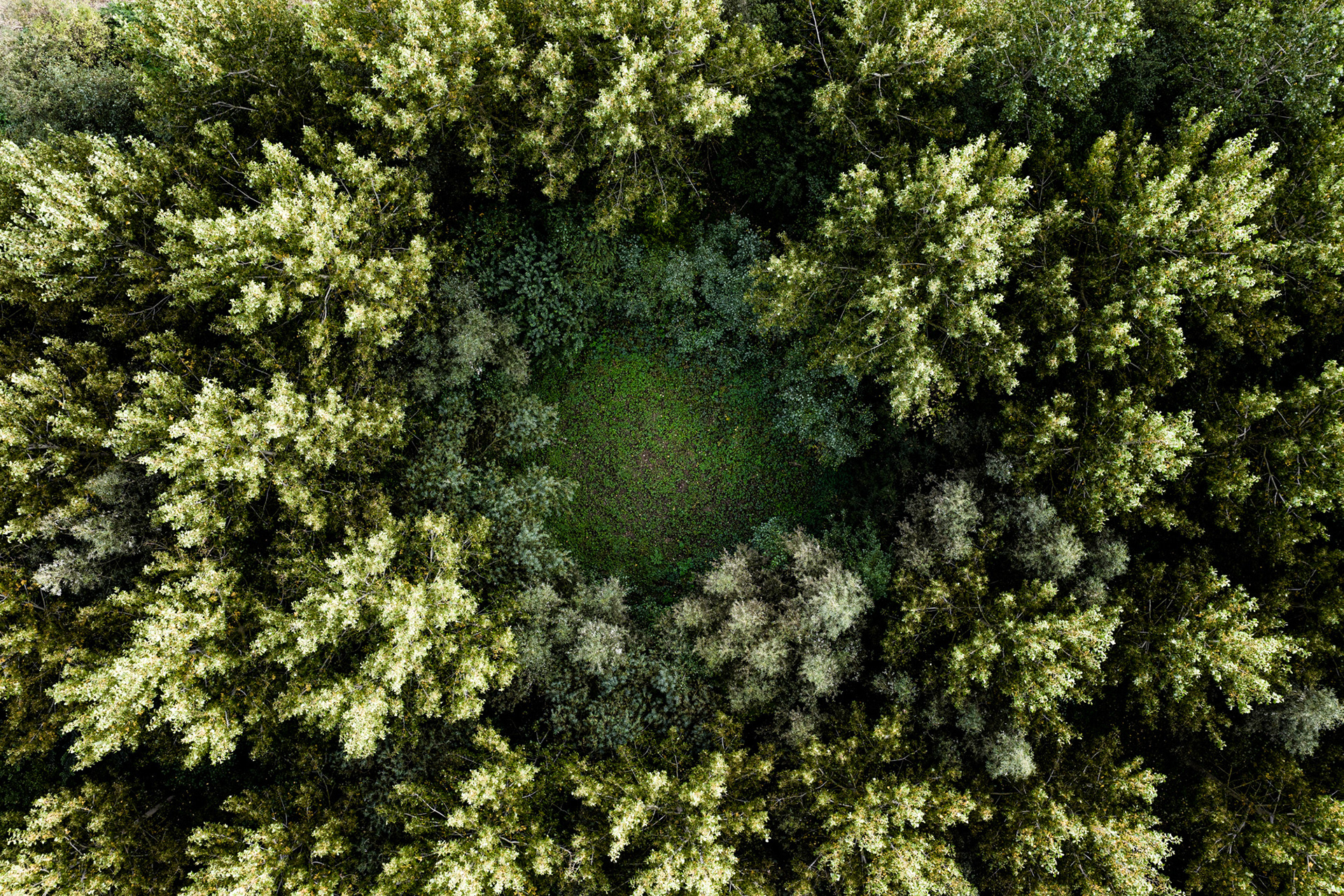 Earth's Calligraphy - 018