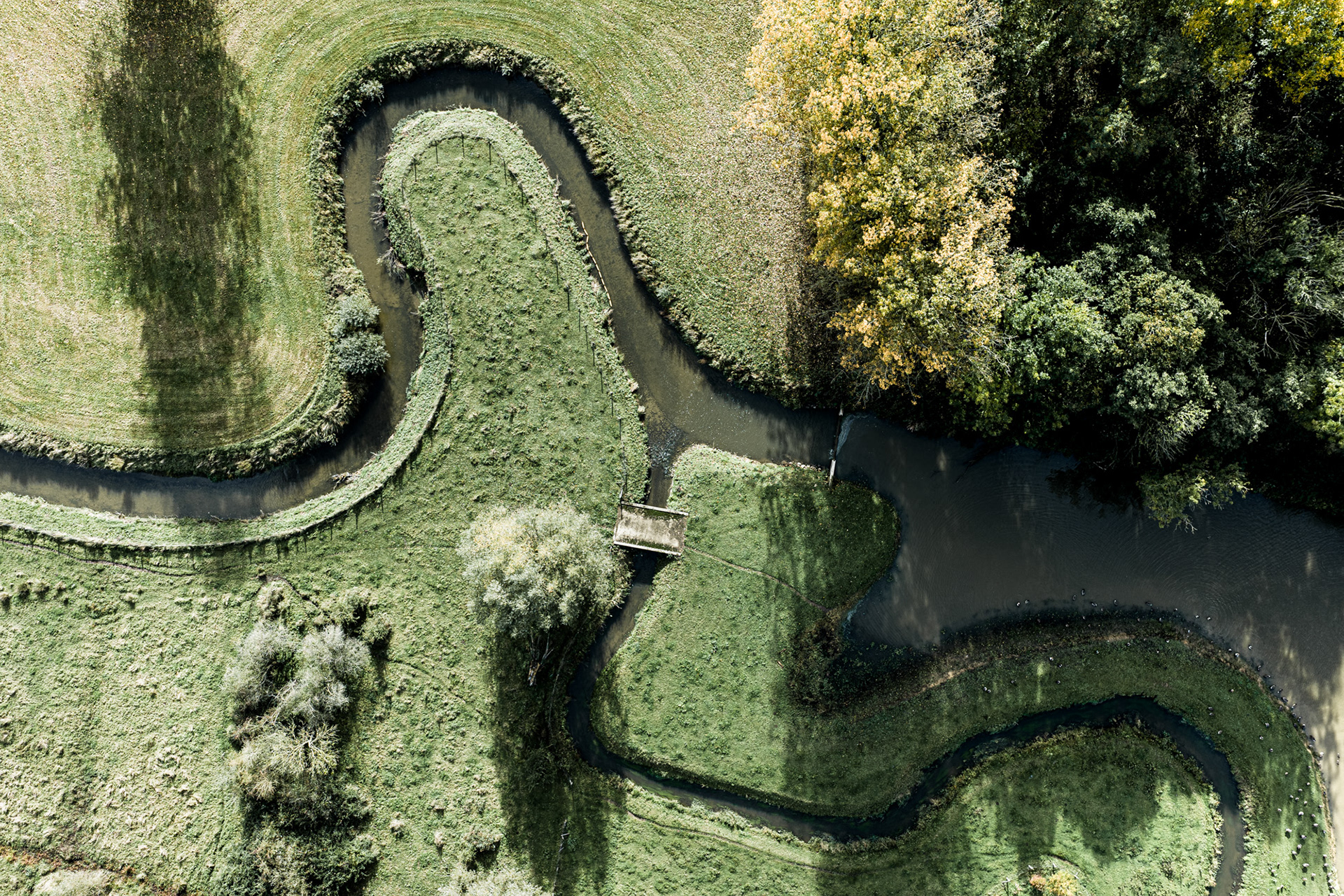 Earth's Calligraphy - 020