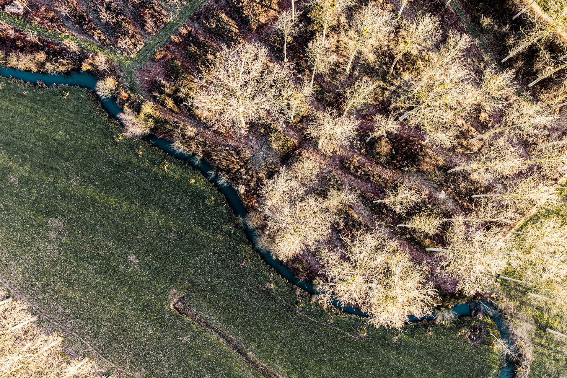 Earth's Calligraphy - 028