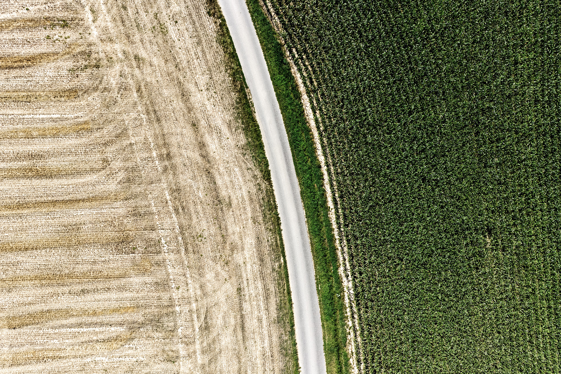 Earth's Calligraphy - 004