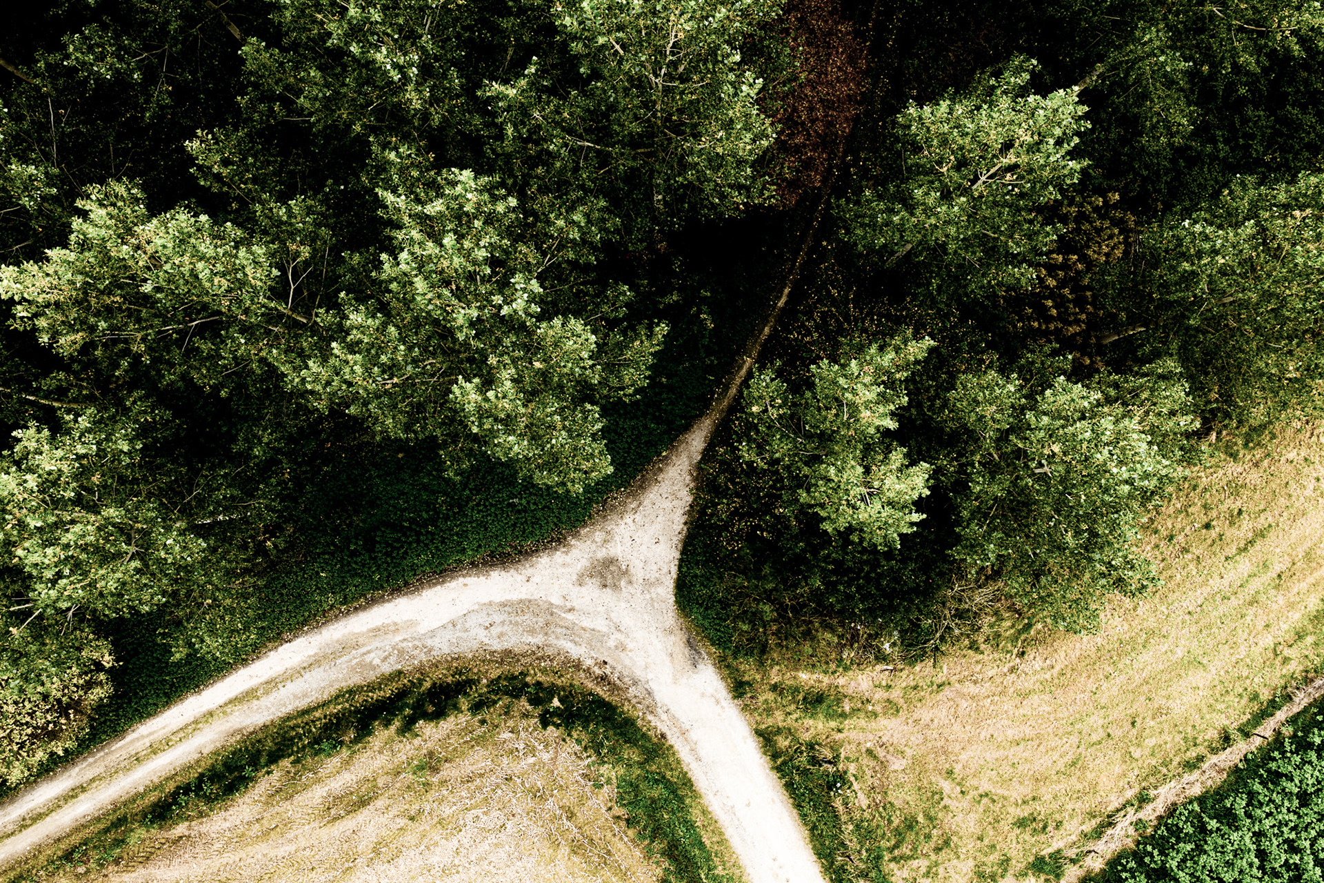 Earth's Calligraphy - 017