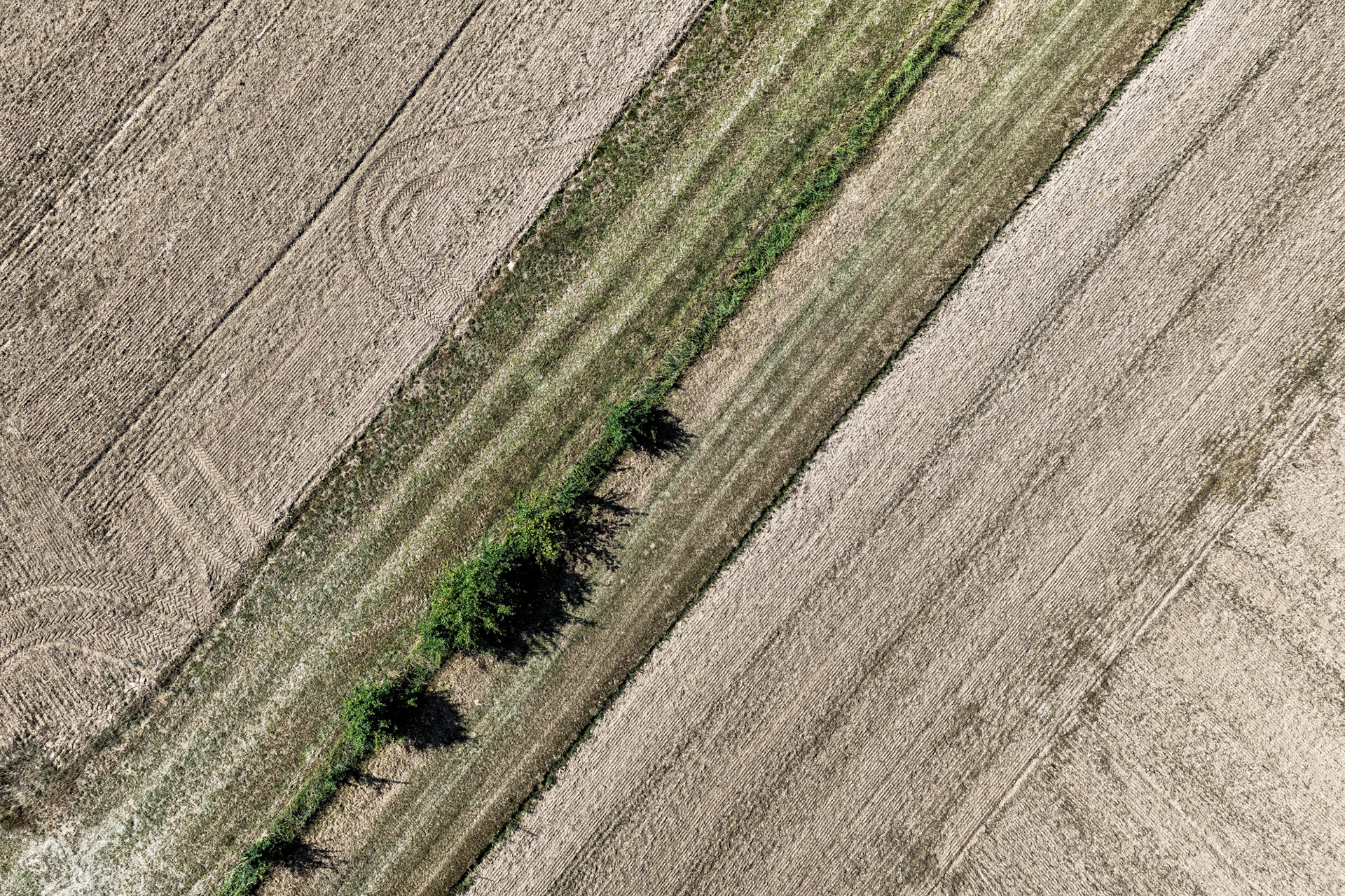 Earth's Calligraphy - 007