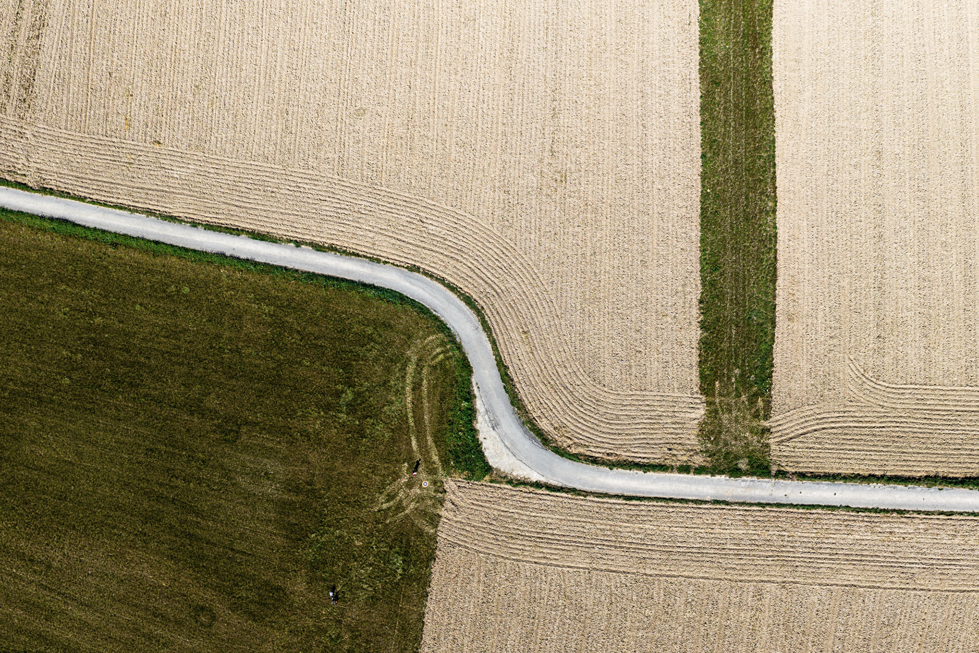 Earth's Calligraphy - 013