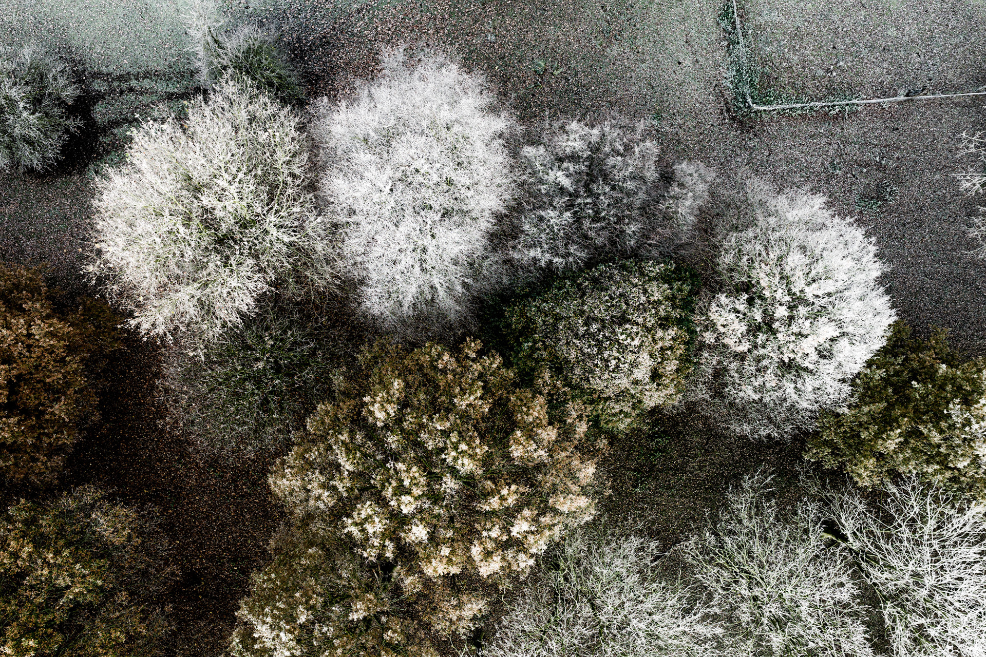 Earth's Calligraphy - 025