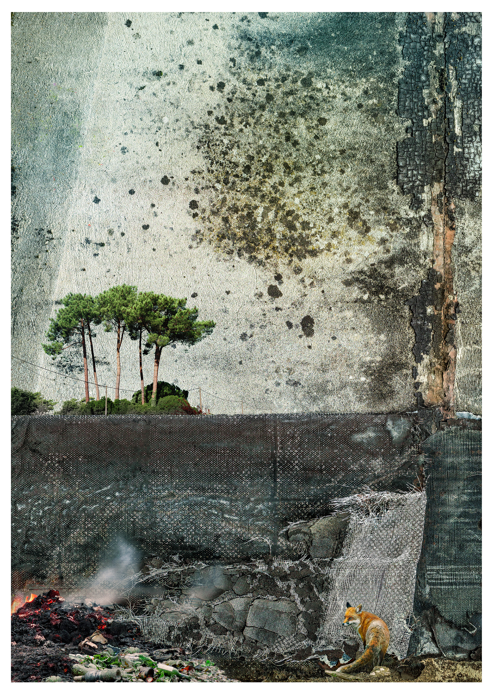 DES RES L’arrière-plan de base de la photographie est un mur très abîmé et monochrome, qui ressemble à une petite falaise avec le ciel au-dessus et une grande silhouette d’arbre suggérée en arrière-plan. Des déchets en feu et des bouteilles cassées ont été ajoutés à la base, accompagnés d’un renard urbain fouillant. Au sommet de la falaise, un petit bosquet de pins et des poteaux télégraphiques ont été intégrés à la composition.
