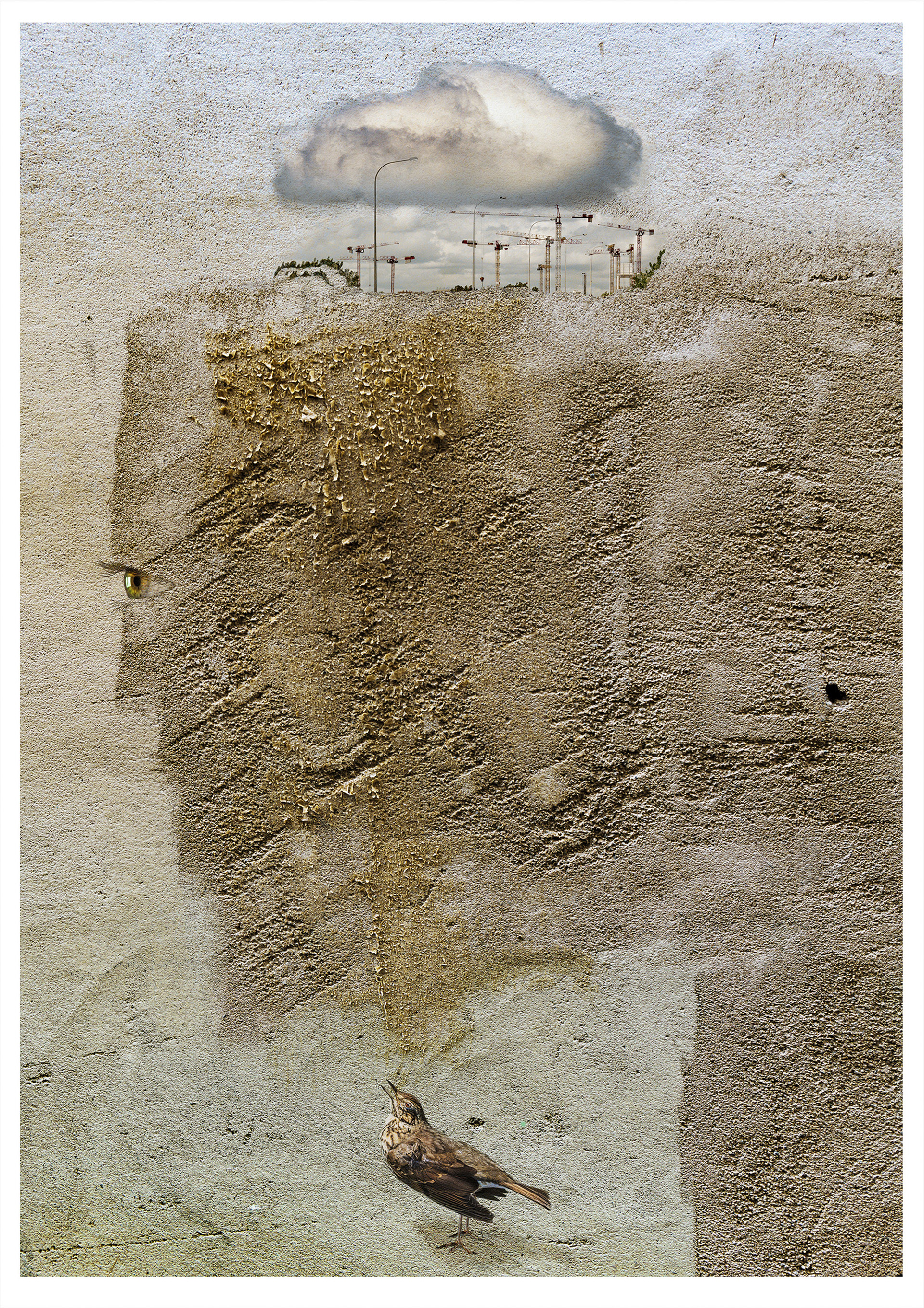 OISEAUX, ARBRES, GRUE Une abstraction créée à partir d’une photographie originale d’un mur taché. L’image semble représenter deux oiseaux chanteurs surplombant une forêt. Quatre “vrais” arbres ont été superposés, ainsi que des détails d’yeux et d’ailes sur les oiseaux. À l’arrière-plan, on aperçoit un petit cerf et une grande grue mise en avant. Les couleurs sont des teintes vibrantes de vert et d’ocre, avec de petites touches de bleu. Le message est écologique : la nature est menacée. La métaphore des oiseaux surpris symbolise leur inquiétude face à la grue de taille industrielle.