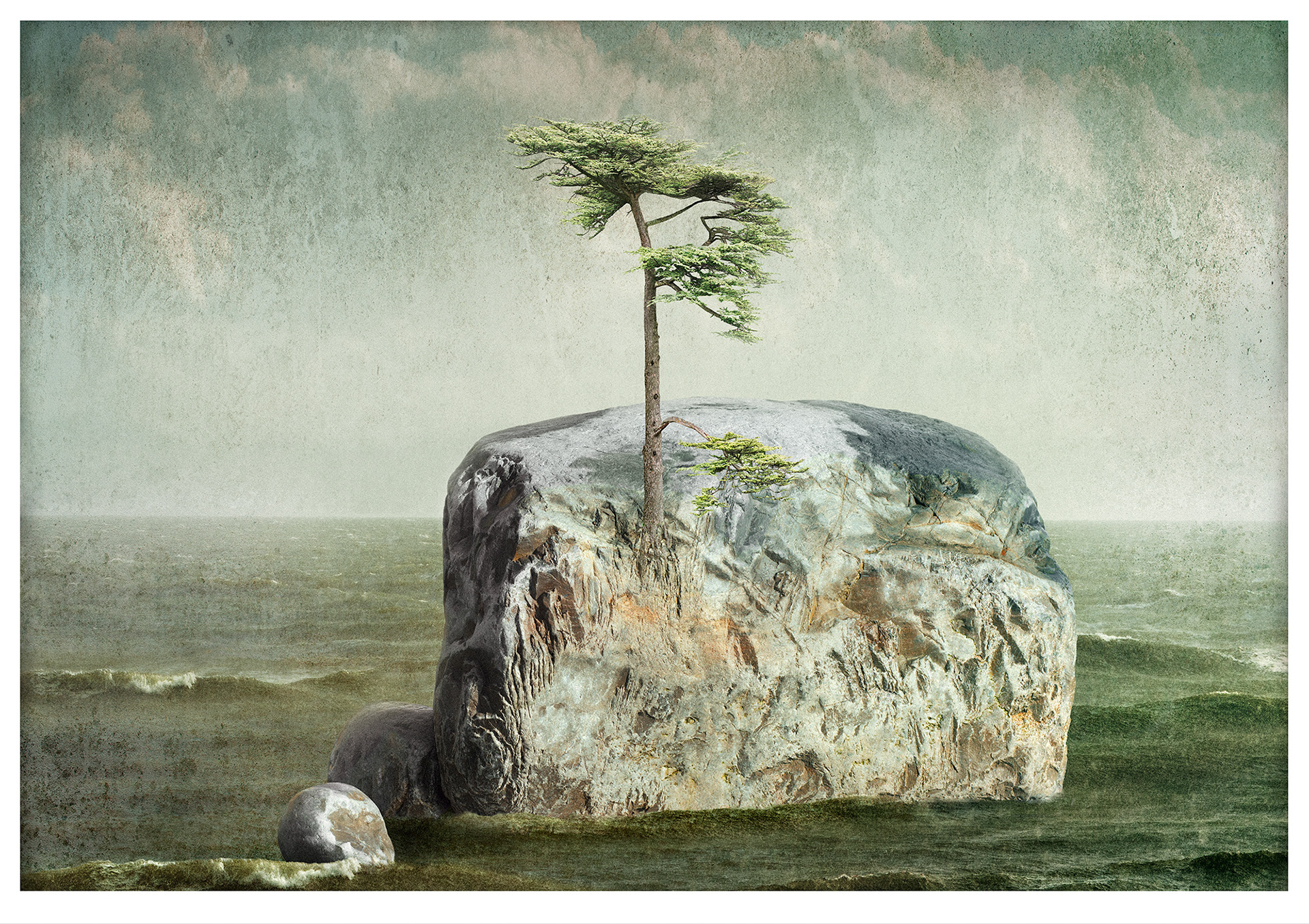 UNE ÎLE Une photographie composite d’une roche, d’un arbre et de la mer. L’effet obtenu est celui d’une petite île dans un océan, avec des couleurs dans des nuances neutres de verts et de bleus.