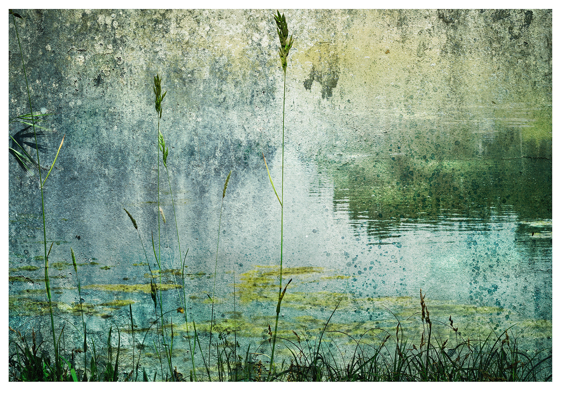 LAKE 01 Une image de lac émerge des textures laissées par des taches et des marquages sur le béton. Les couleurs sont des verts, jaunes et cyans atténués. L’illusion d’un lac brumeux est renforcée par la superposition d’eau ondulante à droite et, au premier plan, en silhouette, des brins d’herbe.