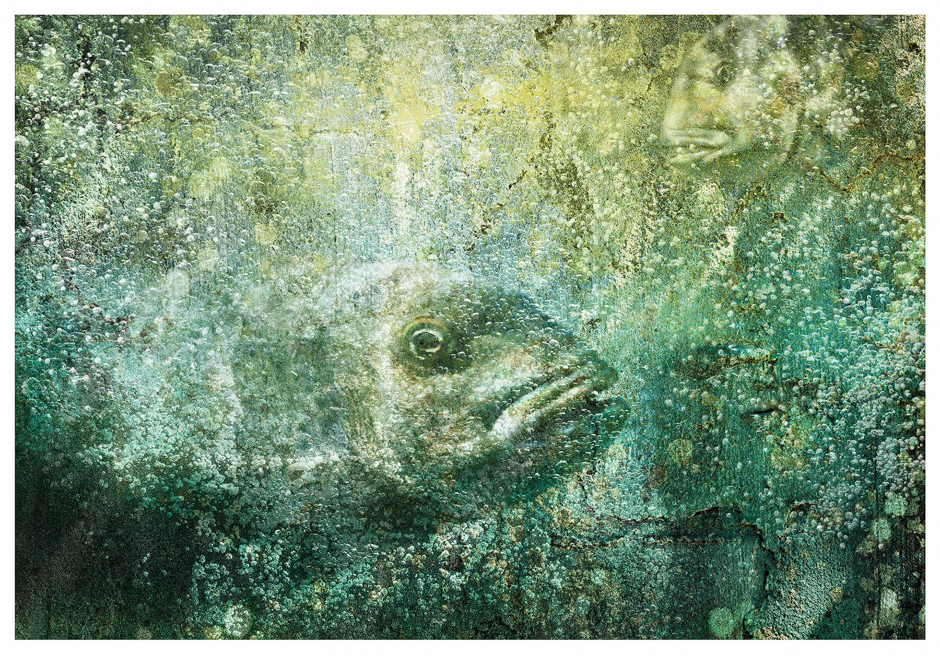 Comme pour les deux images précédentes, l’image a été créée à partir des taches et des impressions sur un mur en béton. Ajouter des bulles et deux poissons complète l’illusion sous-marine