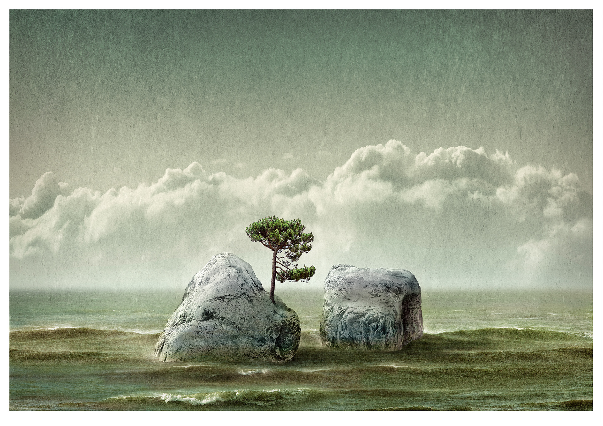 DEUX ÎLES Une photographie composite de deux petites roches, un pin, la mer et le ciel. L’image finale représente un paysage marin avec deux petites îles au milieu d’un vaste océan, dans des nuances de verts et de bleus neutres.