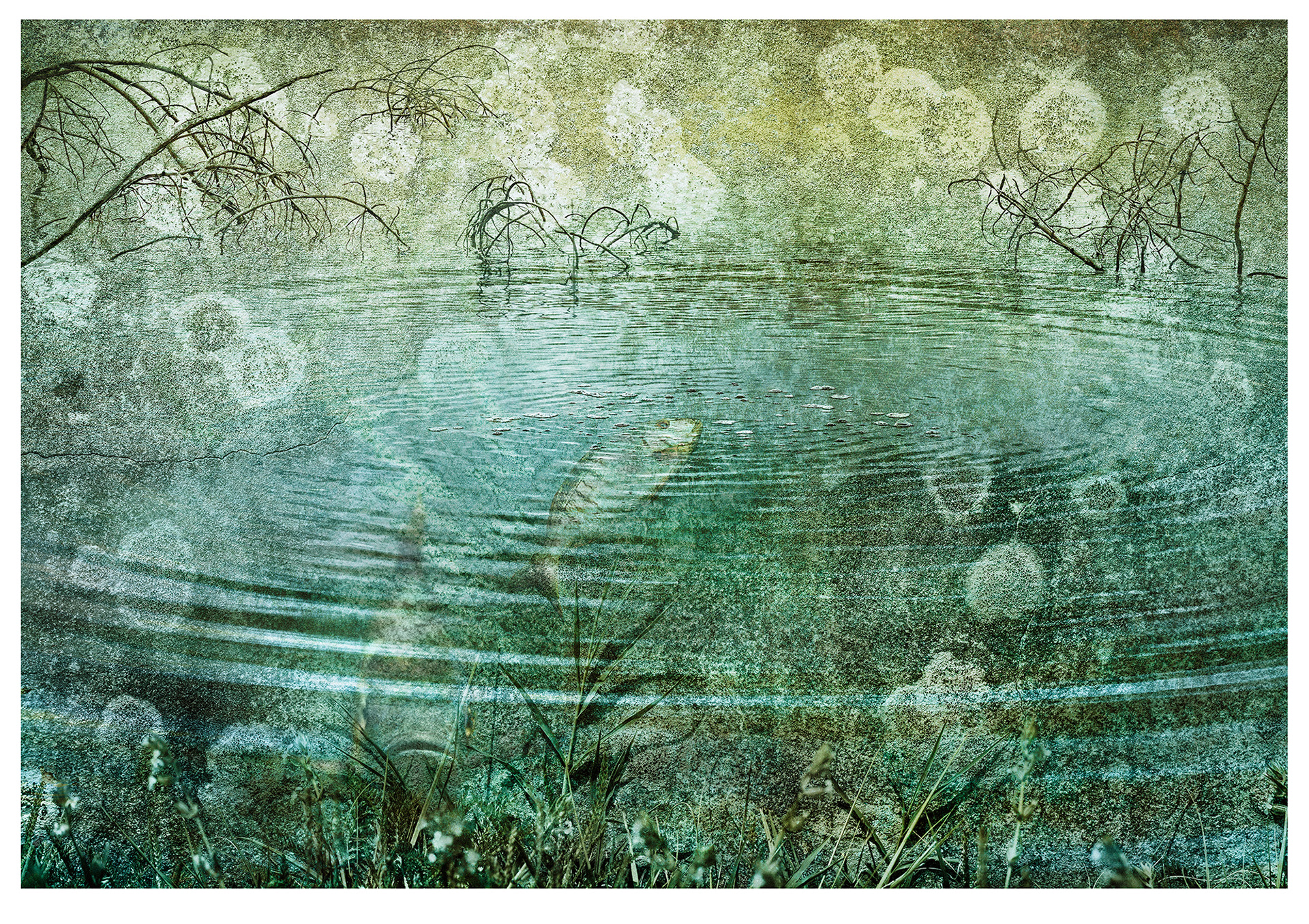 LAKE 02 Une image de lac dans la série où un poisson remonte à la surface de l’eau, créant des ondulations. Tout cela est une illusion créée par le lichen et les textures sur un mur. Les couleurs sont des verts, jaunes et cyans atténués. L’illusion d’un lac brumeux est encore renforcée par la superposition d’algues et de feuilles qui semblent être sous l’eau.