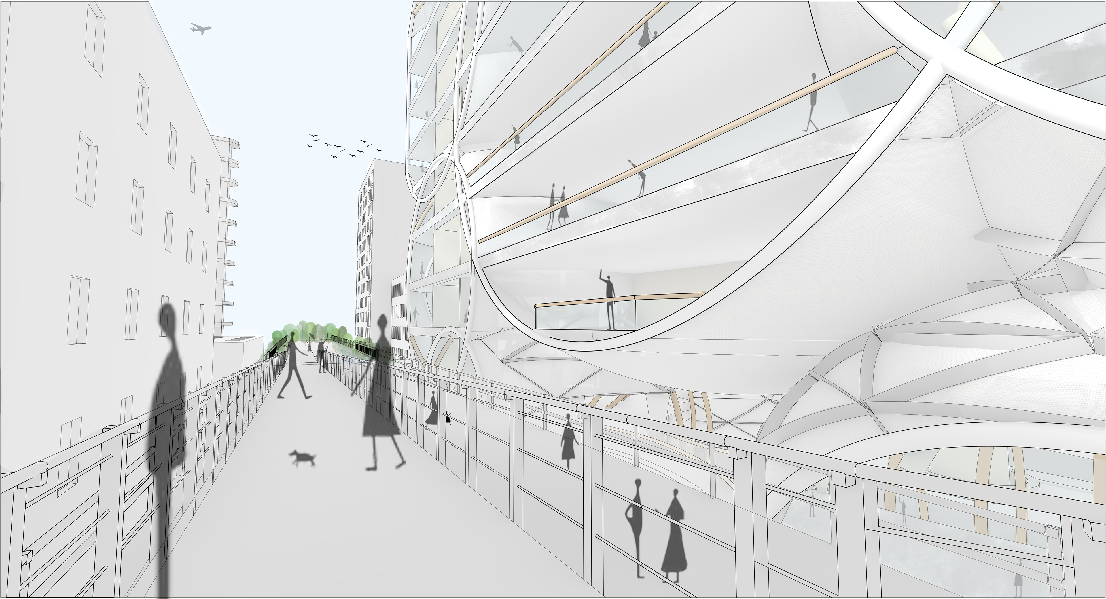 HIGHLINE VIEW