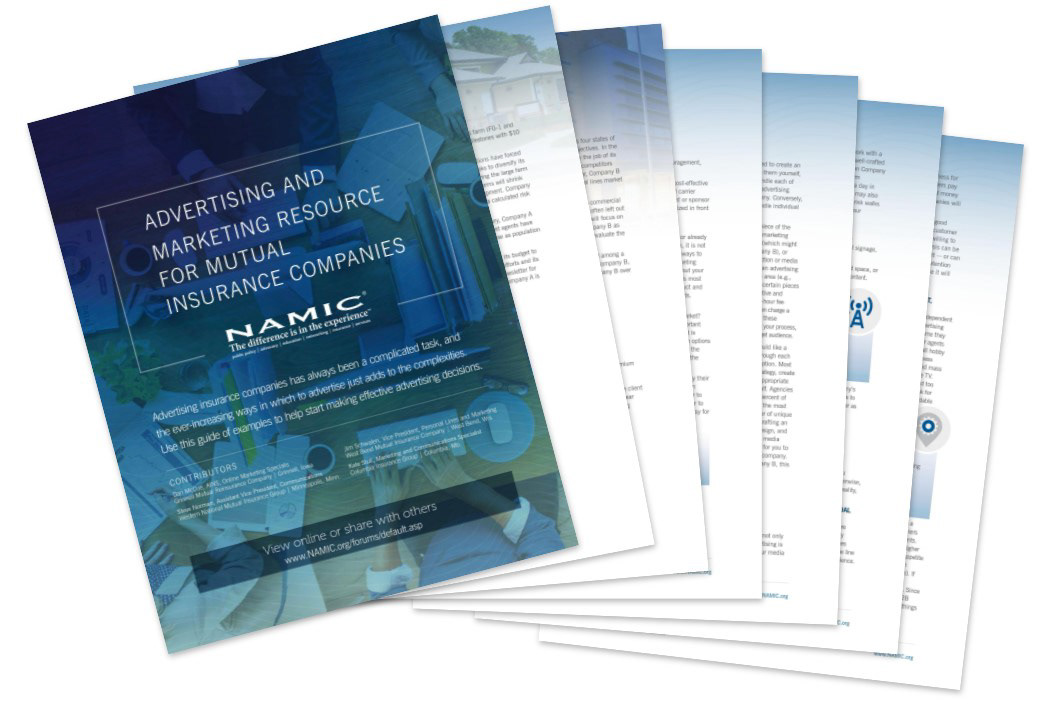 Screenshots depicting actual pages within the work product created for this annual conference.