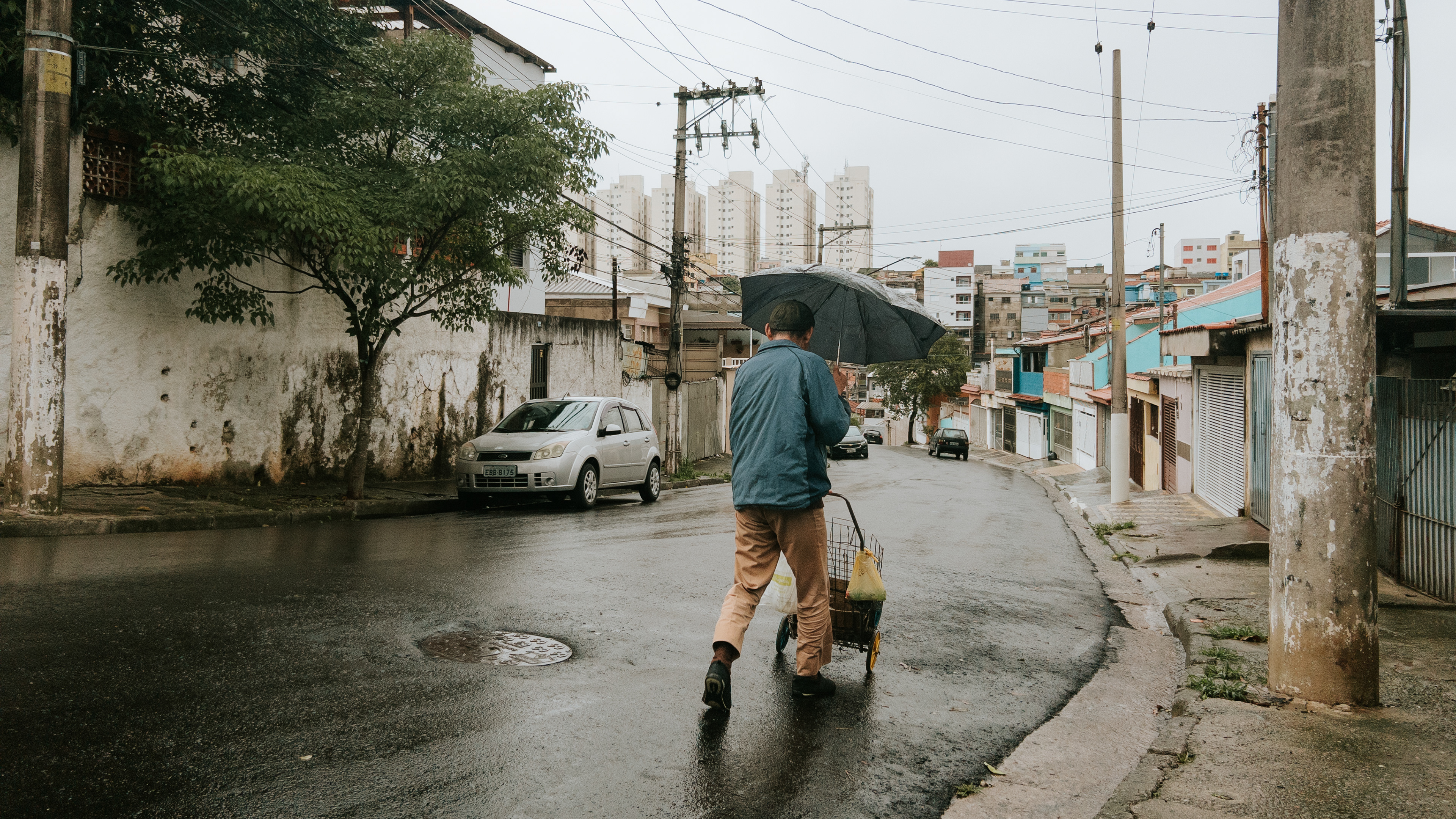 São Bernardo do Campo, 2024