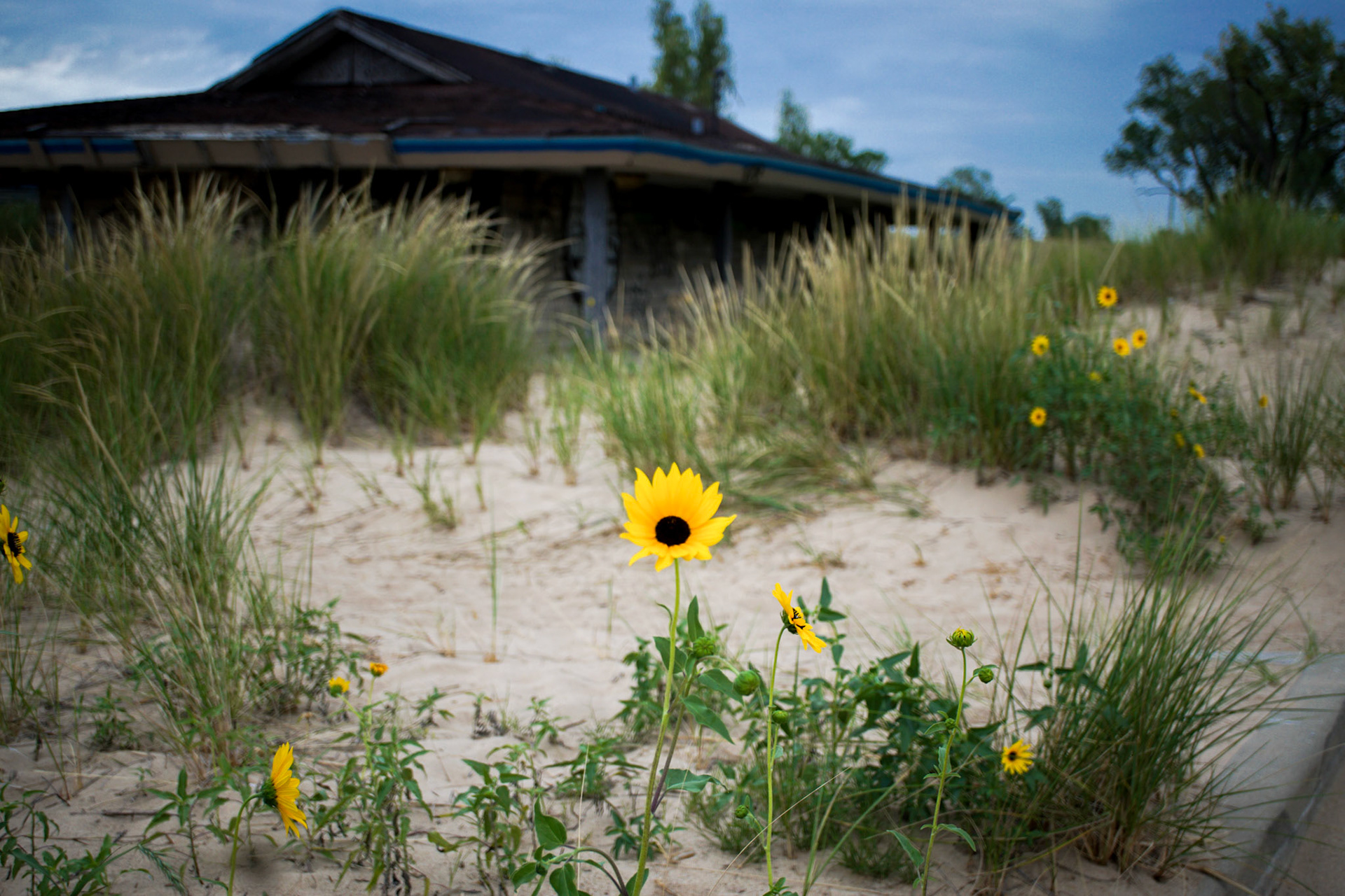Miller Beach, Gary