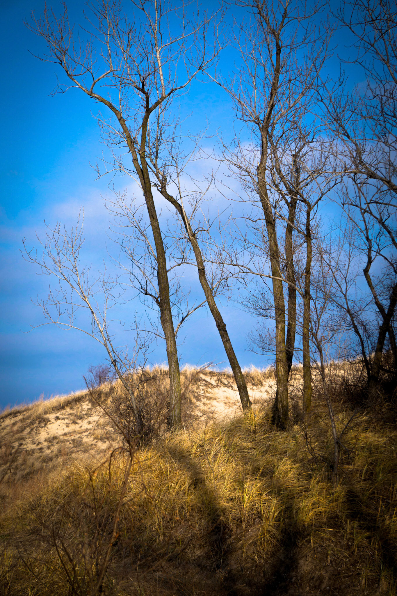 Miller Beach, Gary, IN