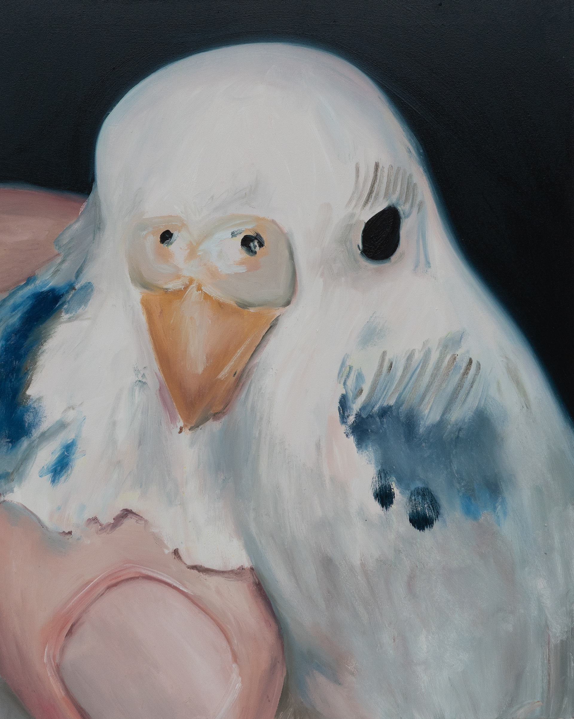 birdie5, Öl auf Leinwand, 100 x 70 cm