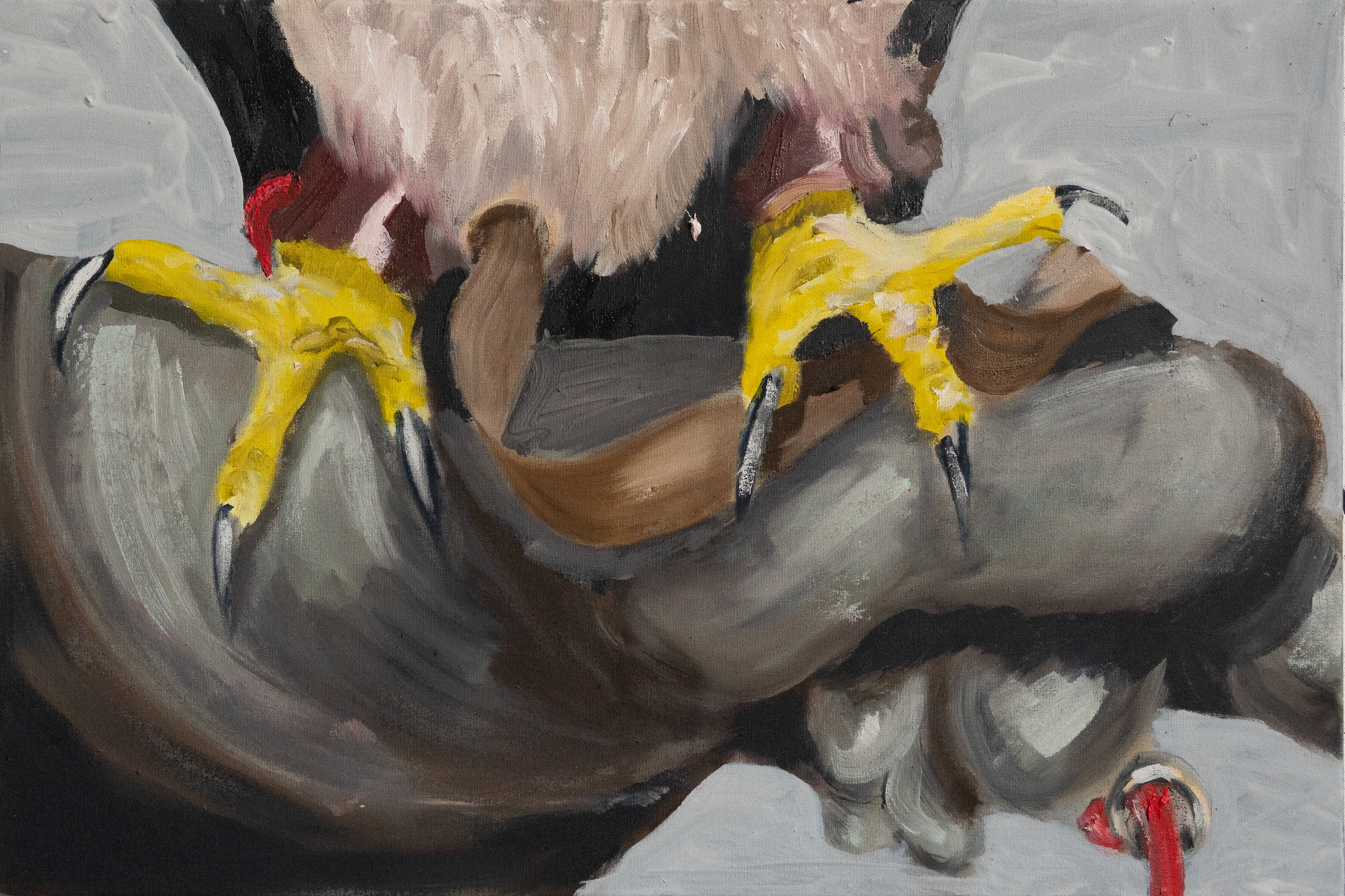 greifer, Öl auf Leinwand, 50 x 80 cm